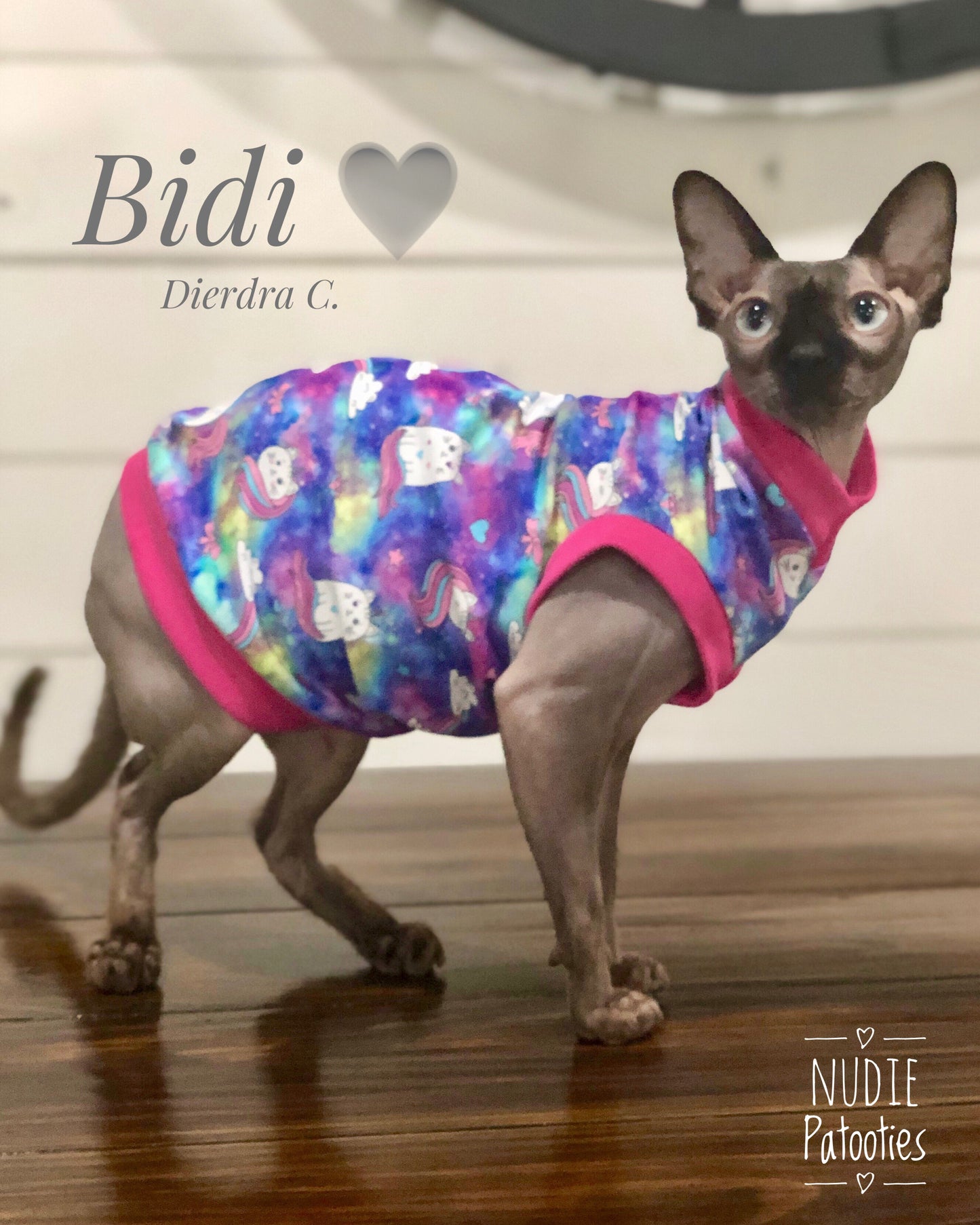 Rainbow Caticorns Nudie Patooties Exclusive - Nudie Patooties Rainbow and Caticorn shirt for your sphynx cat, sphynx kitten, peterbald, devon rex, cornish rex, and bambino cat! unicorns