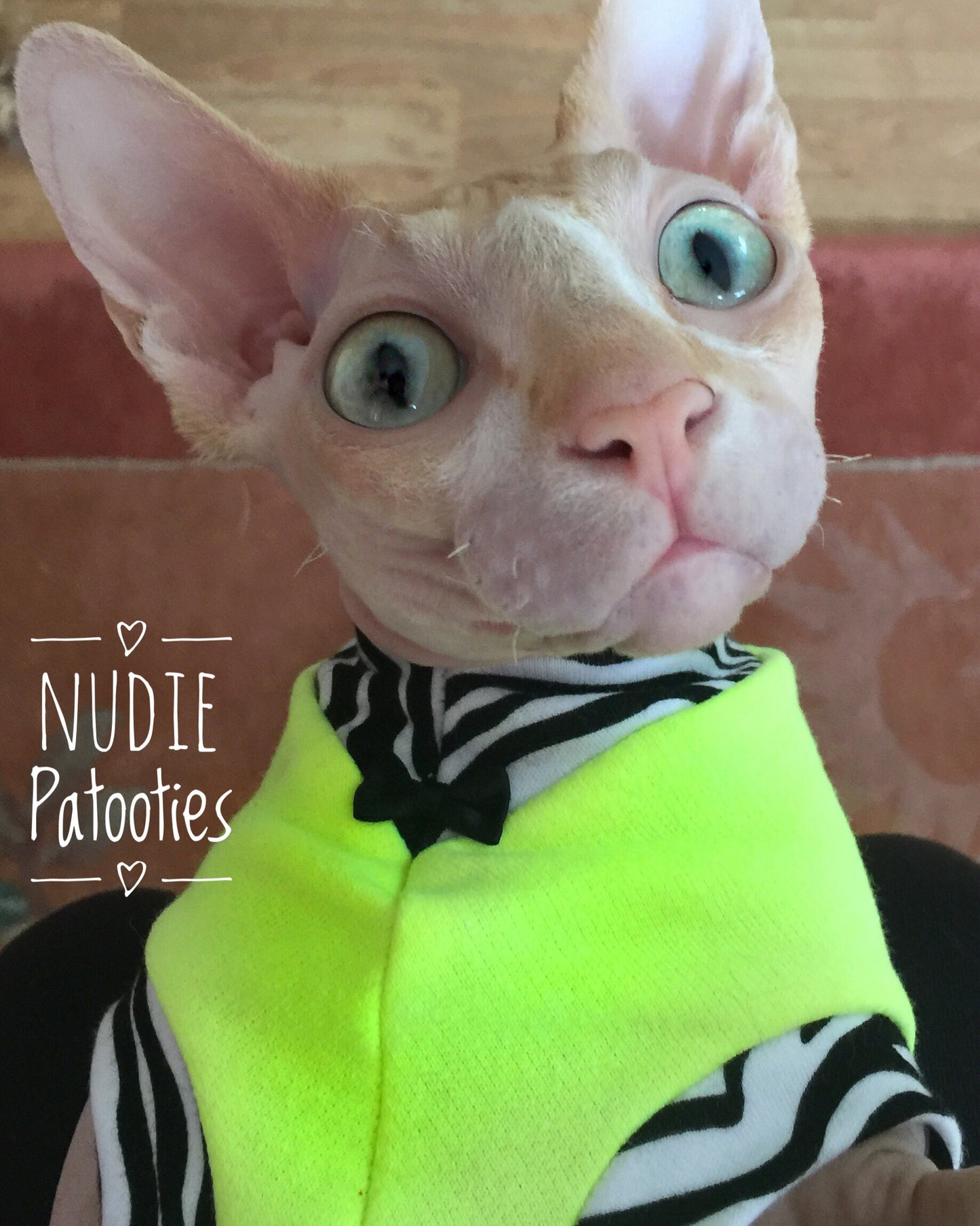 Sphynx Cat Sweatshirt with leopard trim/ cat bow tie/ Sphynx Cat Fleece Clothes / clothes for cats/ cat overalls /cat shirt/ cat sweater/ cat sweatshirt/ pet sweater/ Sphynx cat clothes/ Sphynx clothing / cats clothes/ shirt for cat/ cat clothes/ tattoo/ skull/ designer cat clothes/ cat pjs