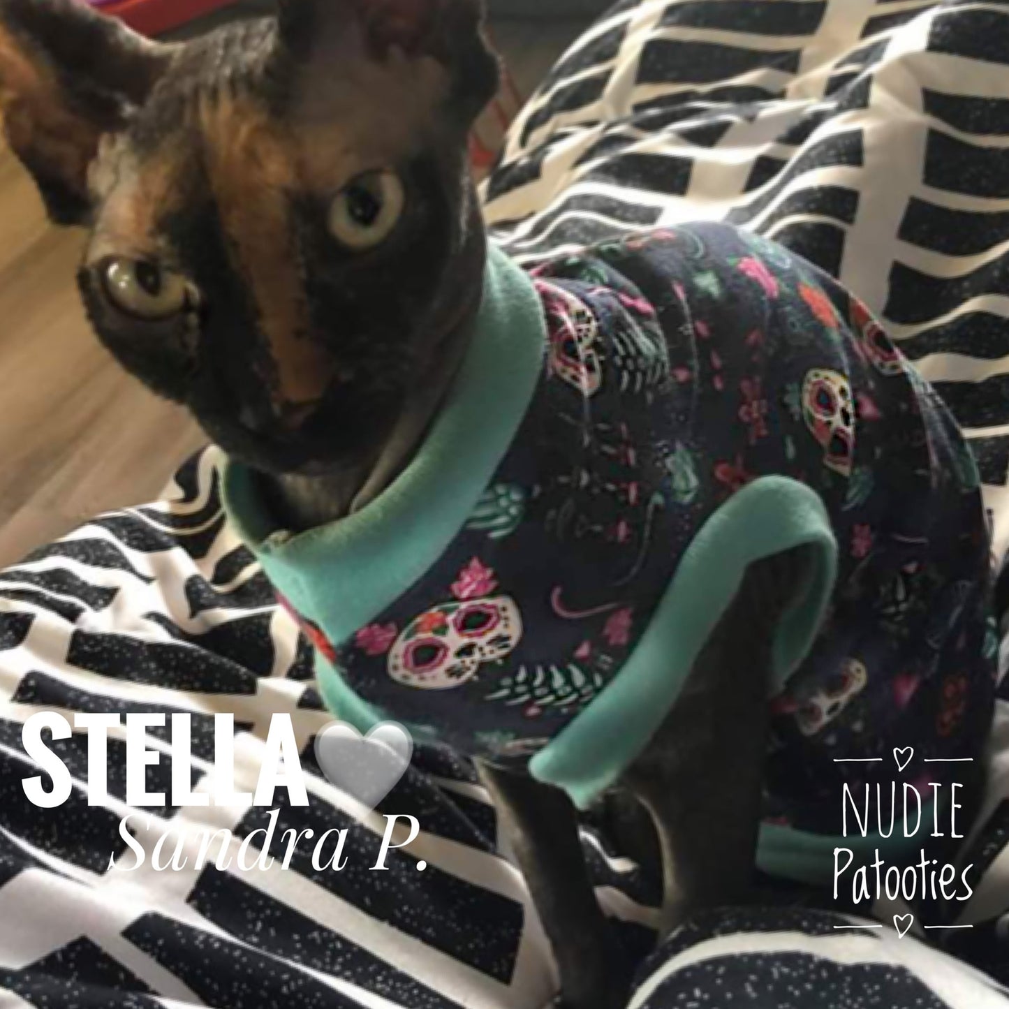Day of the Dead Sugar Kitties Nudie Patooties Exclusive