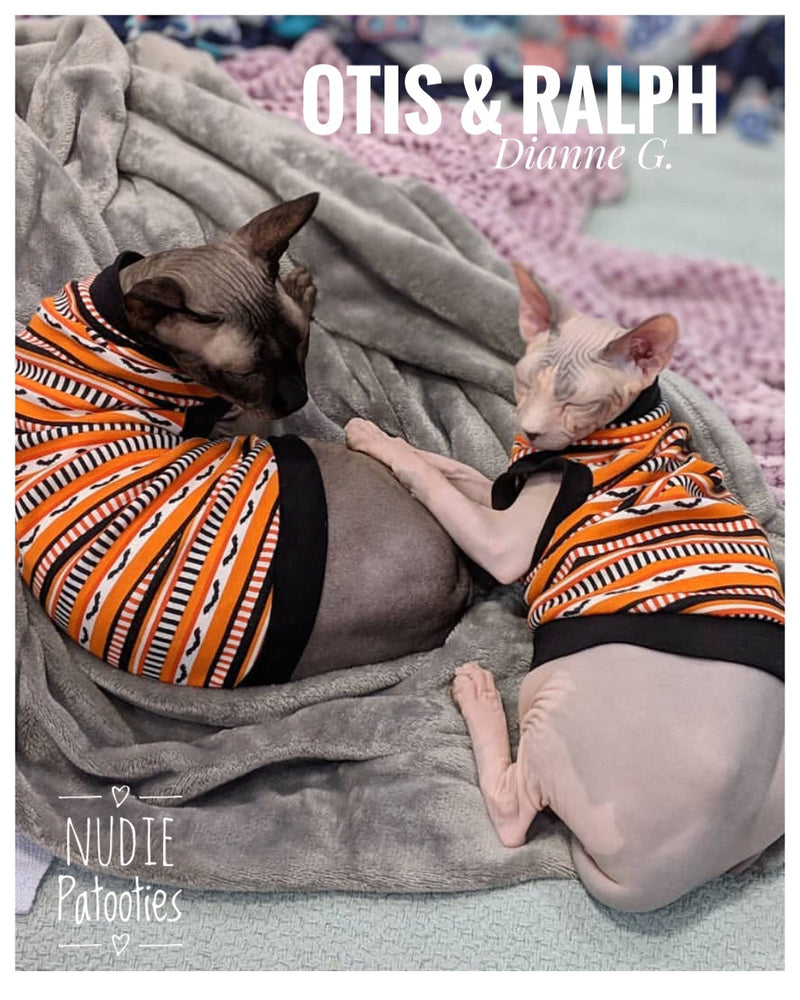 Batty Bat - Nudie Patooties Sphynx cat clothes for your sphynx cat, sphynx kitten, Donskoy, Bambino Cat, cornish rex, peterbald and devon rex cat.