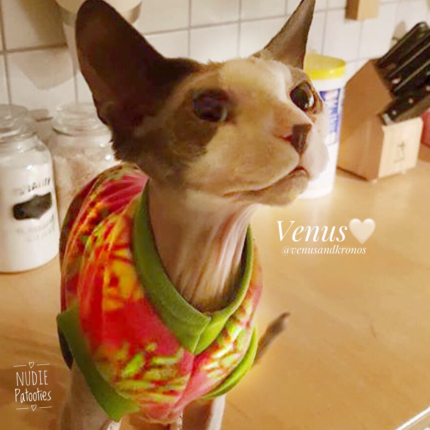 pineapple fleece sphynx shirt/sweater, sphynx clothes sphynx clothing
