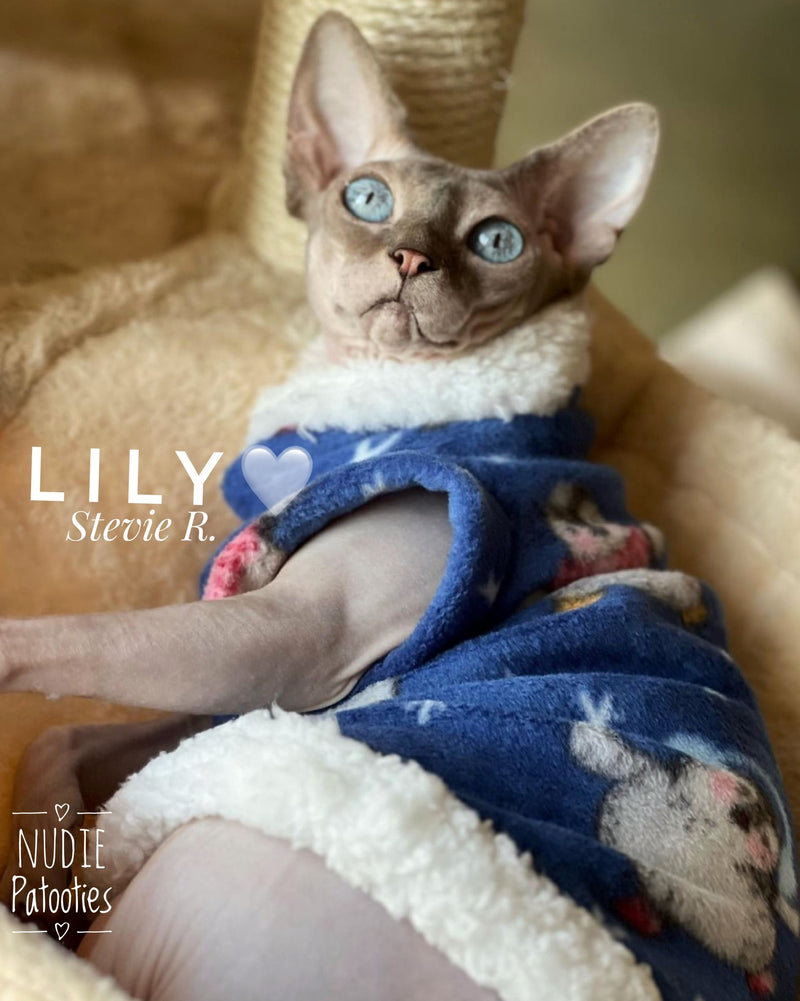 Christmas fleece shirt for sphynx cat and kitten. Christmas sphynx cat clothes.