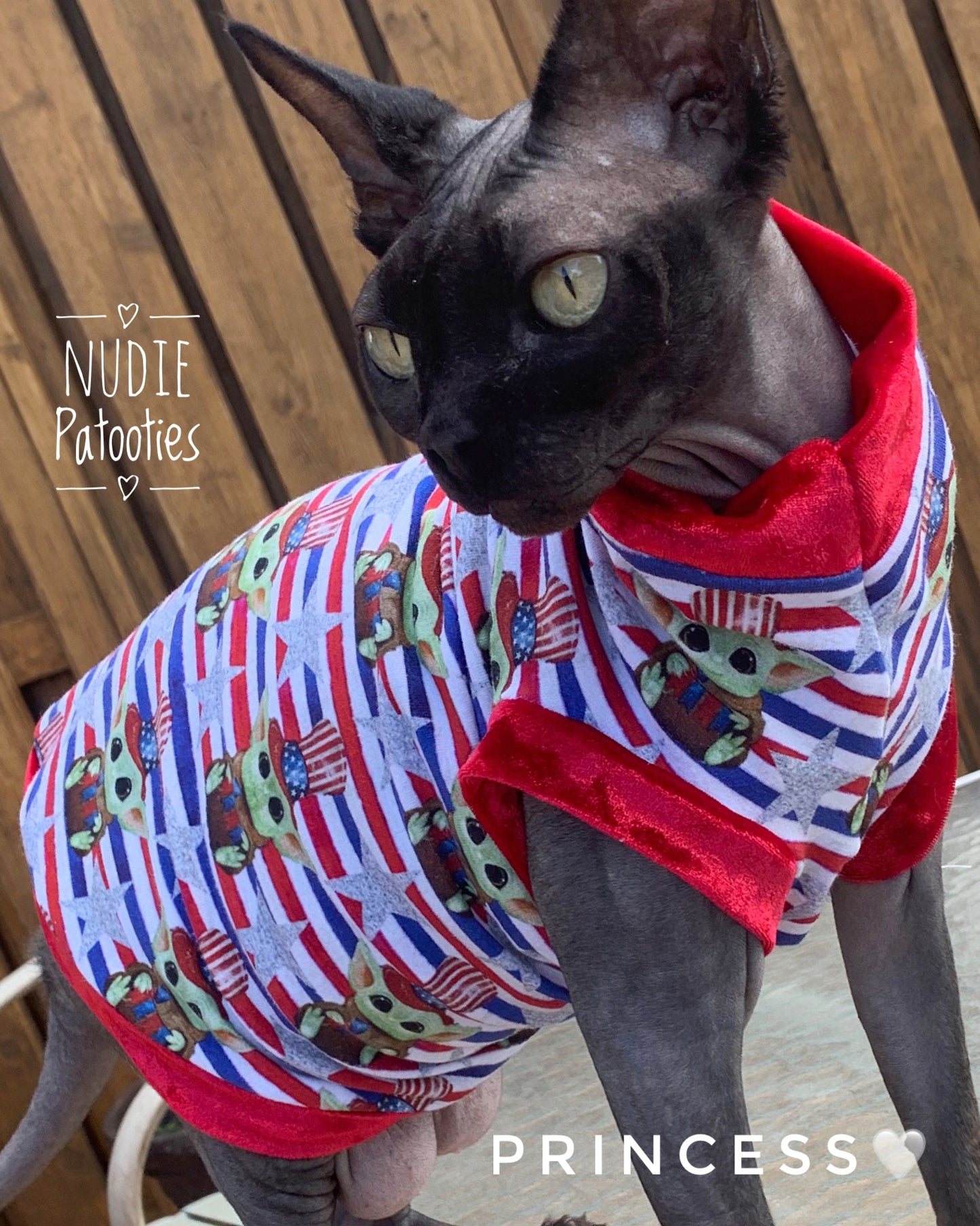 4th of July sphynx cat shirt.  Sphynx cat clothes. 
