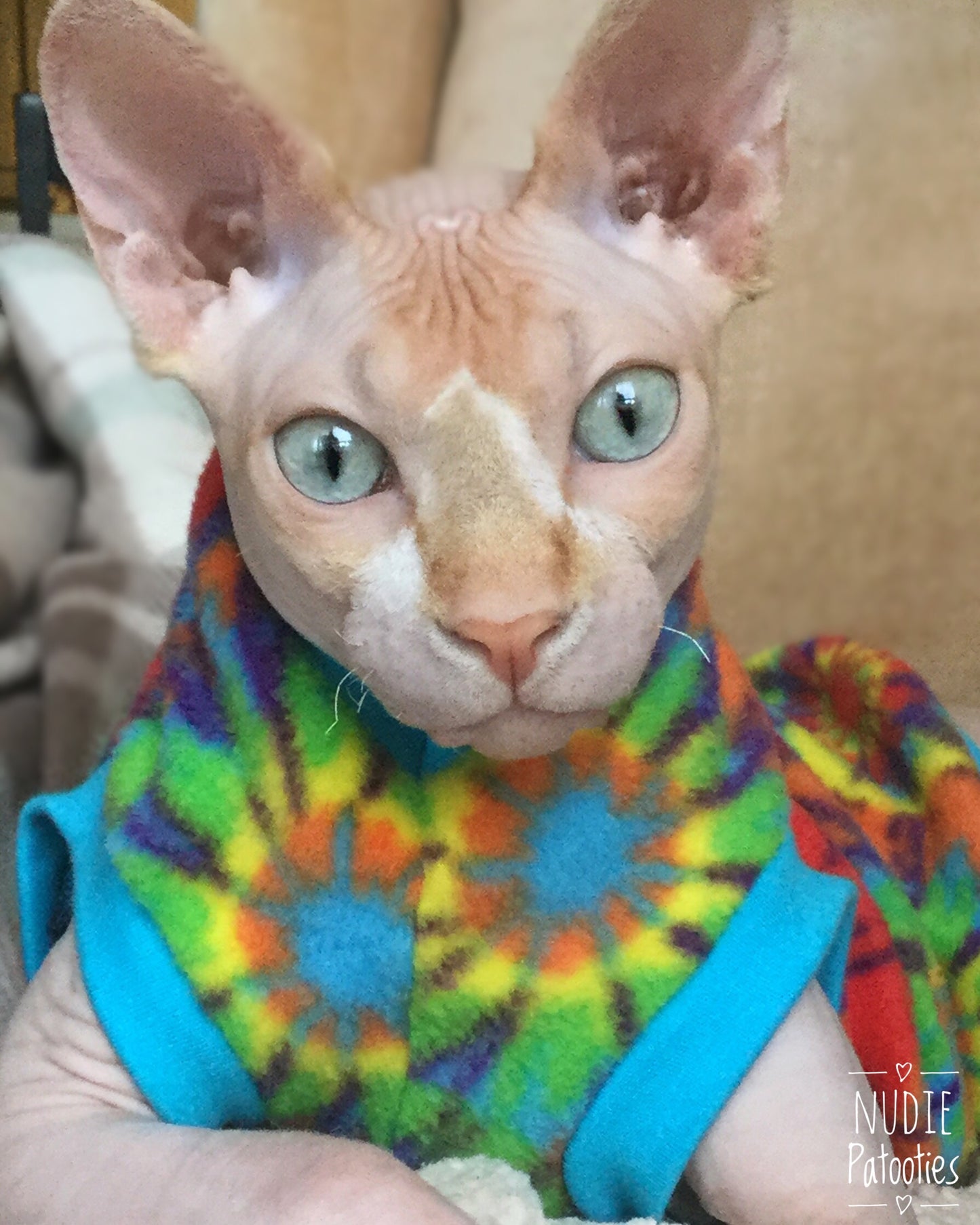 Tie dye fleece shirt for your sphynx cat/kitten, peterbald, cornish rex, devon rex, bambino cat. sphynx clothes, clothes for sphynx, cat clothes, cat shirt, nudie patooties