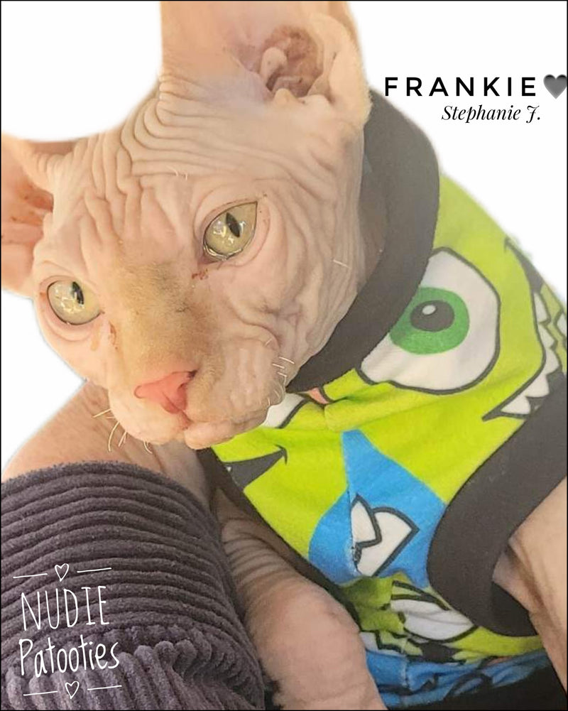 sohynx cat and kitten shirt. sphynx cat clothes