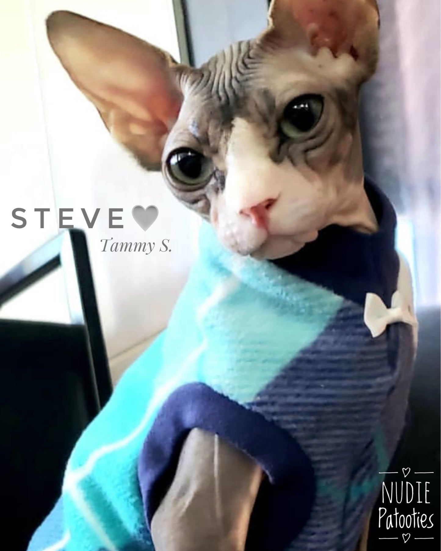 Blue Plaid Fleece "Sky is the Limit"