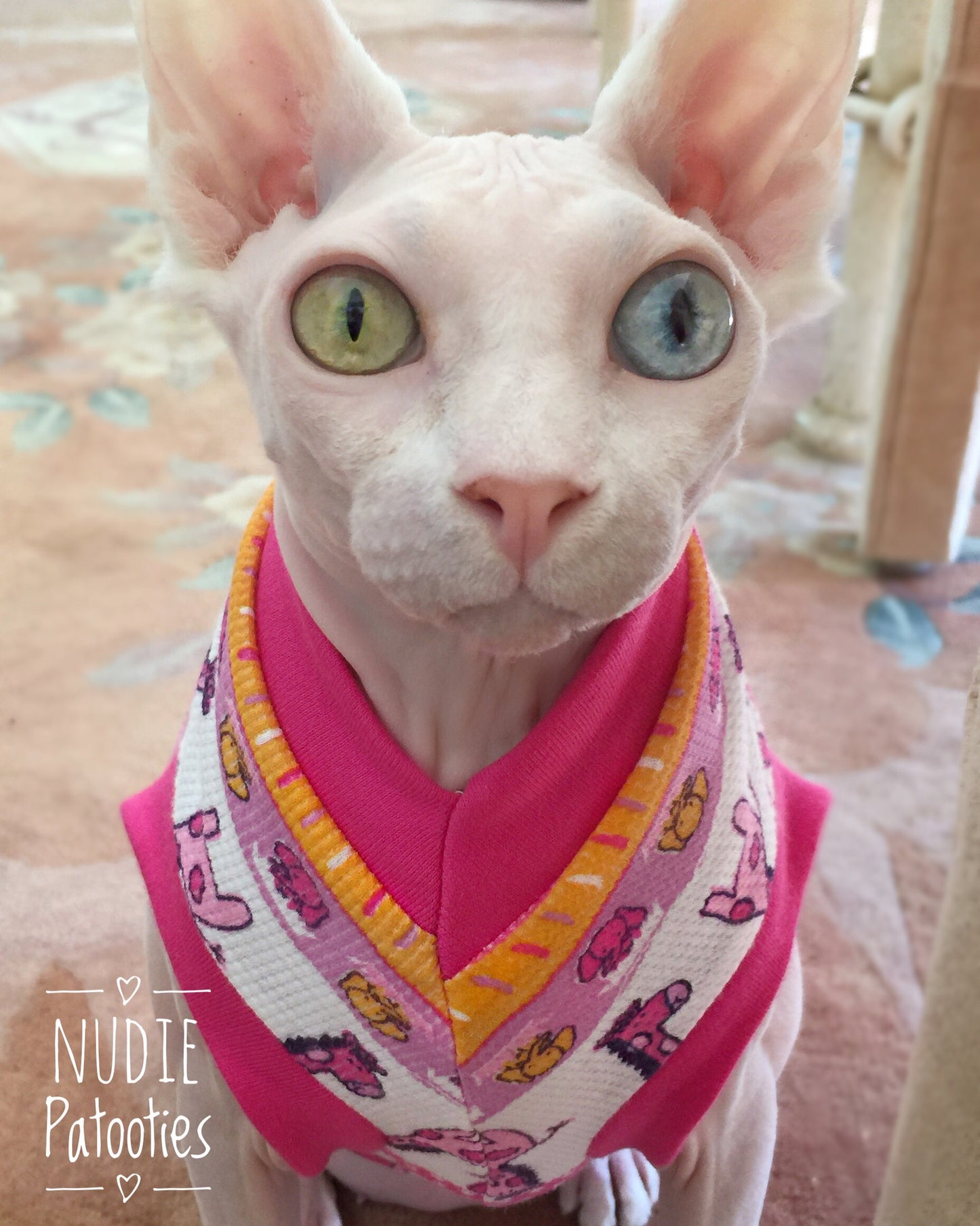 Sphynx Cat Clothes / clothes for cats/ cat overalls /cat shirt/ cat sweater/ cat sweatshirt/ pet sweater/ Sphynx cat clothes/ Sphynx clothing / cats clothes/ shirt for cat/ cat clothes/ tattoo/ skull/ designer cat clothes/ cat pjs