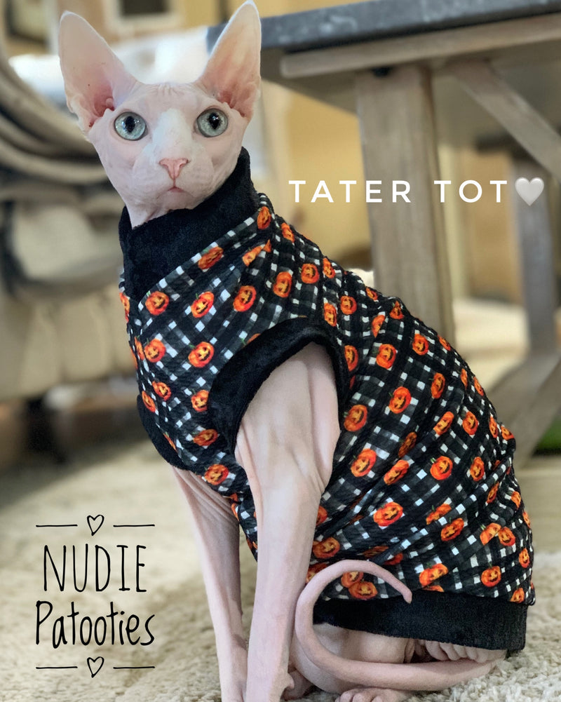 Sphynx Cat and Kitten shirt. sphynx cat clothes