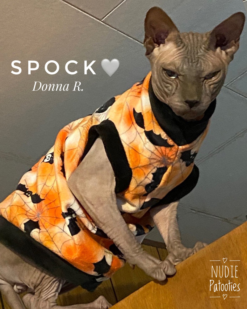 Minky Bats & Spider Webs