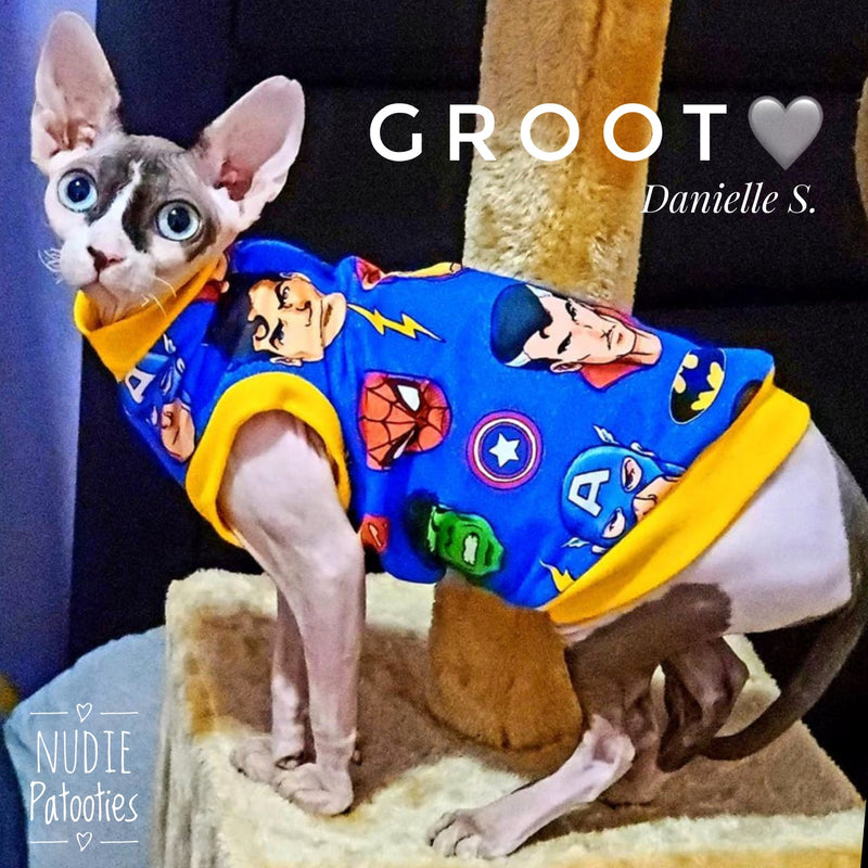 Sphynx cat and kitten shirt. Sphynx cat clothes.