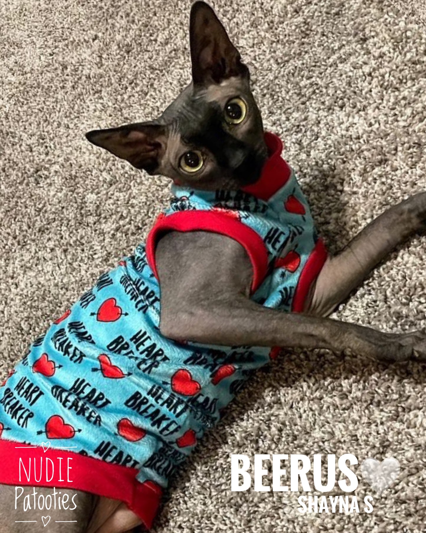 Sphynx cat and kitten shirt. Sphynx cat clothes