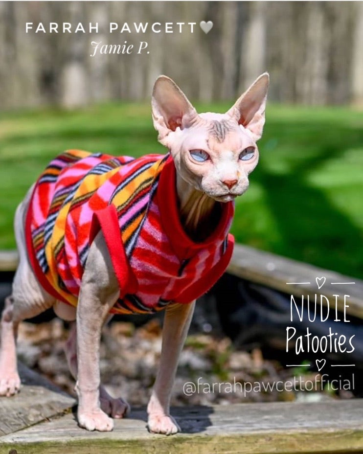 Pink and Red Chevron Fleece "Born to Party"