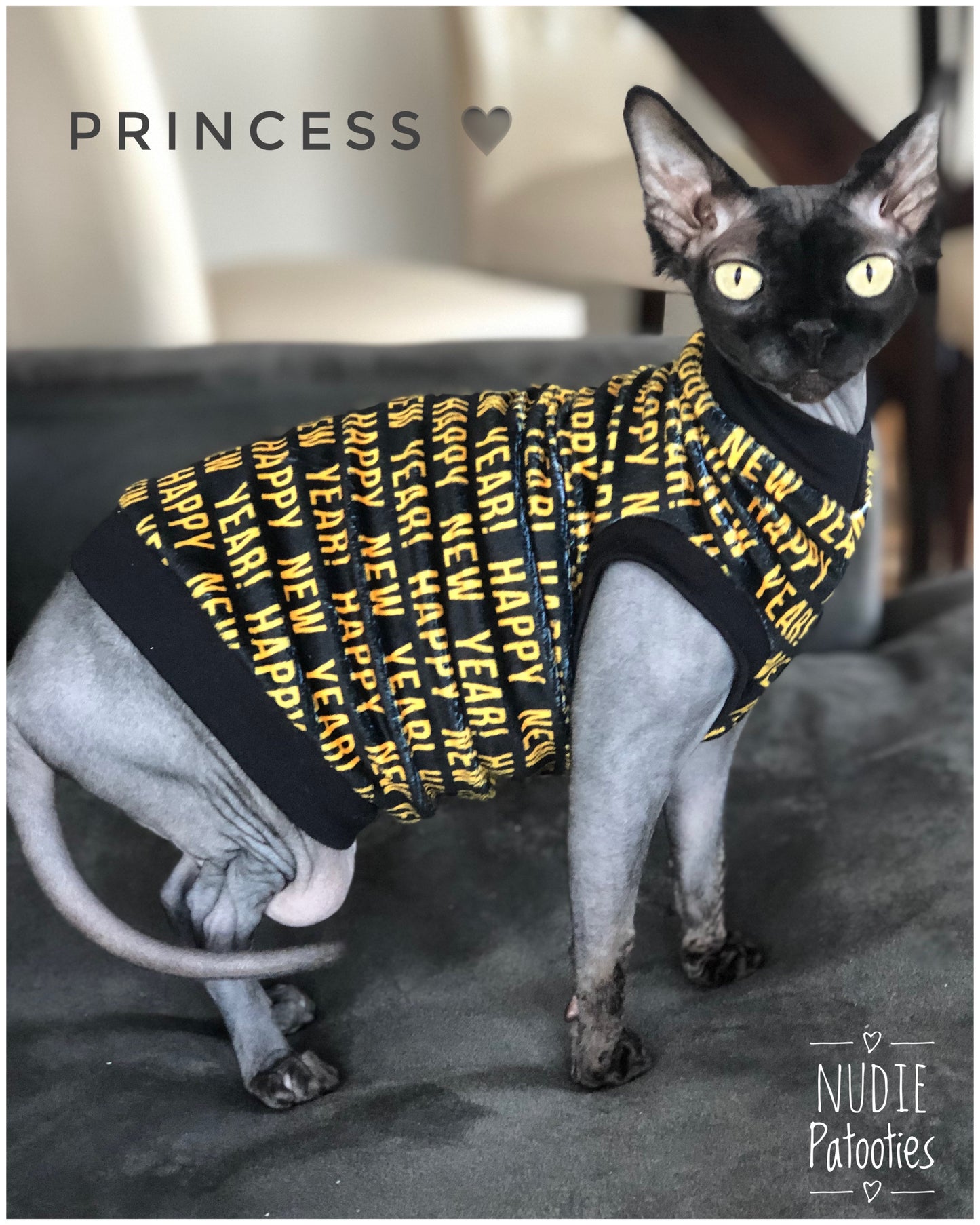 Sphynx cat and kitten shirt. Sphynx cat clothes