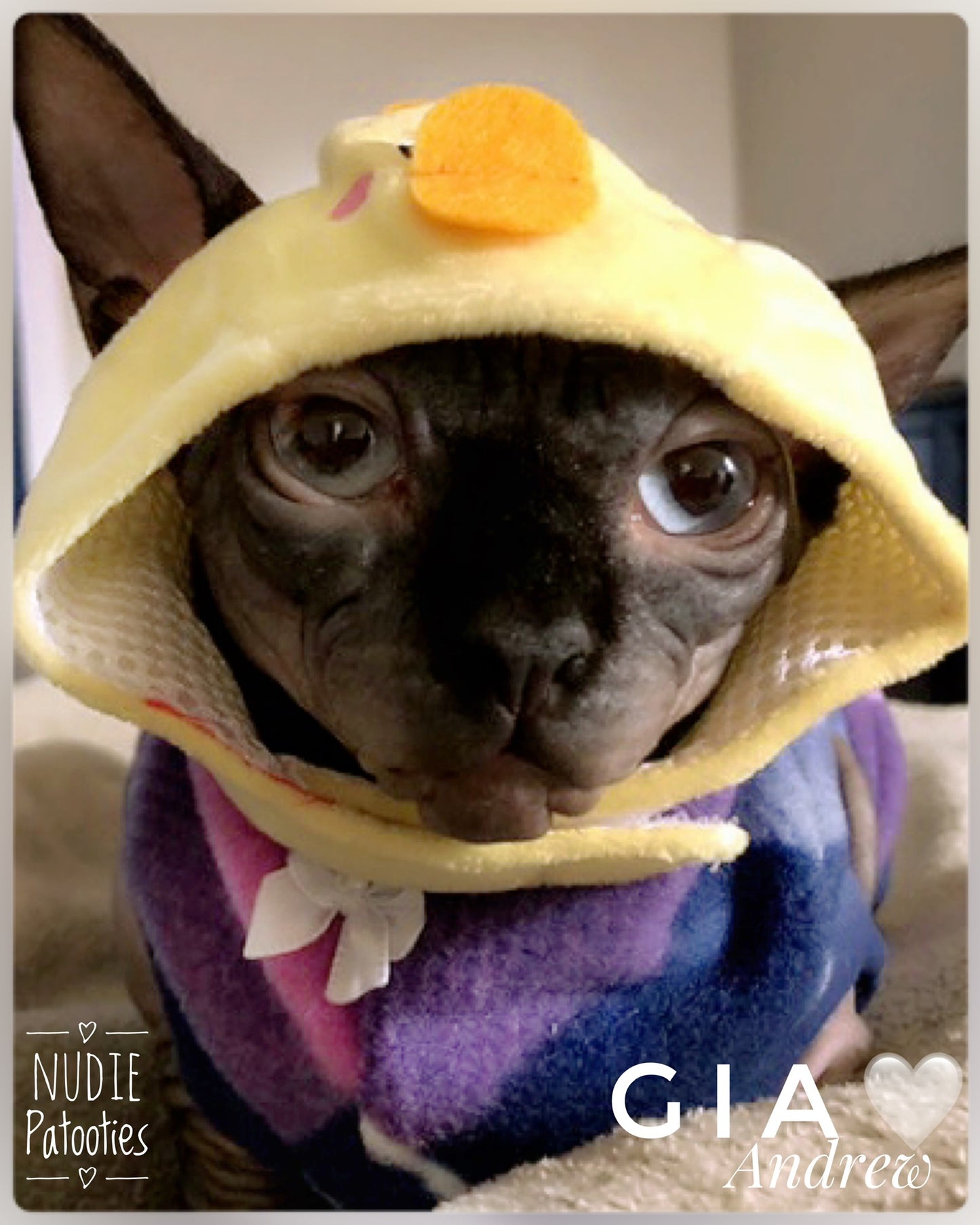 Pink Plaid Fleece "Watch More Sunsets"