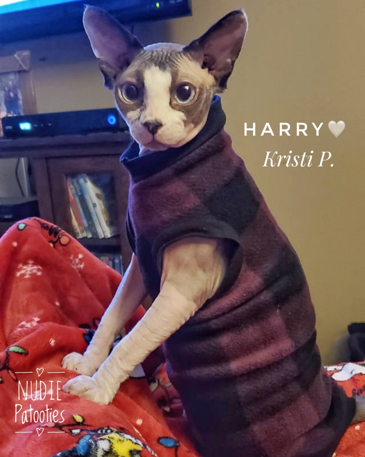 Burgundy and Black Buffalo Plaid Fleece "The Connoisseur"