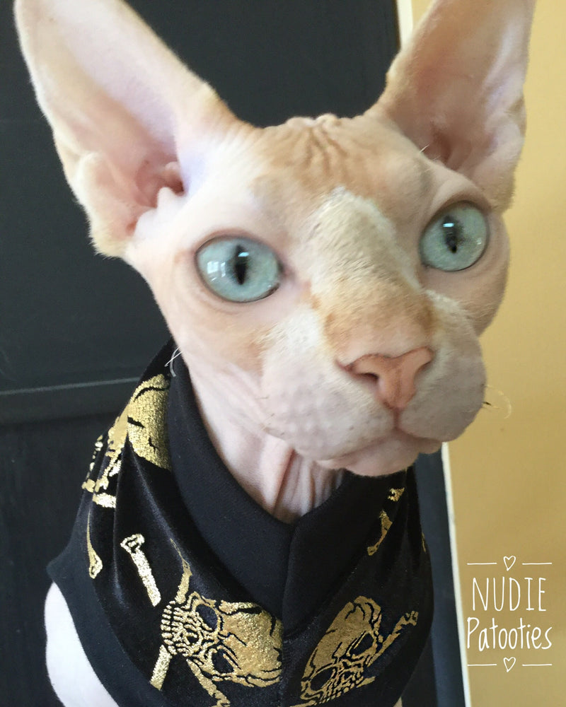 Black Velvet with Metallic Gold Skull - Nudie Patooties Sphynx cat clothes for your sphynx cat, sphynx kitten, Donskoy, Bambino Cat, cornish rex, peterbald and devon rex cat.