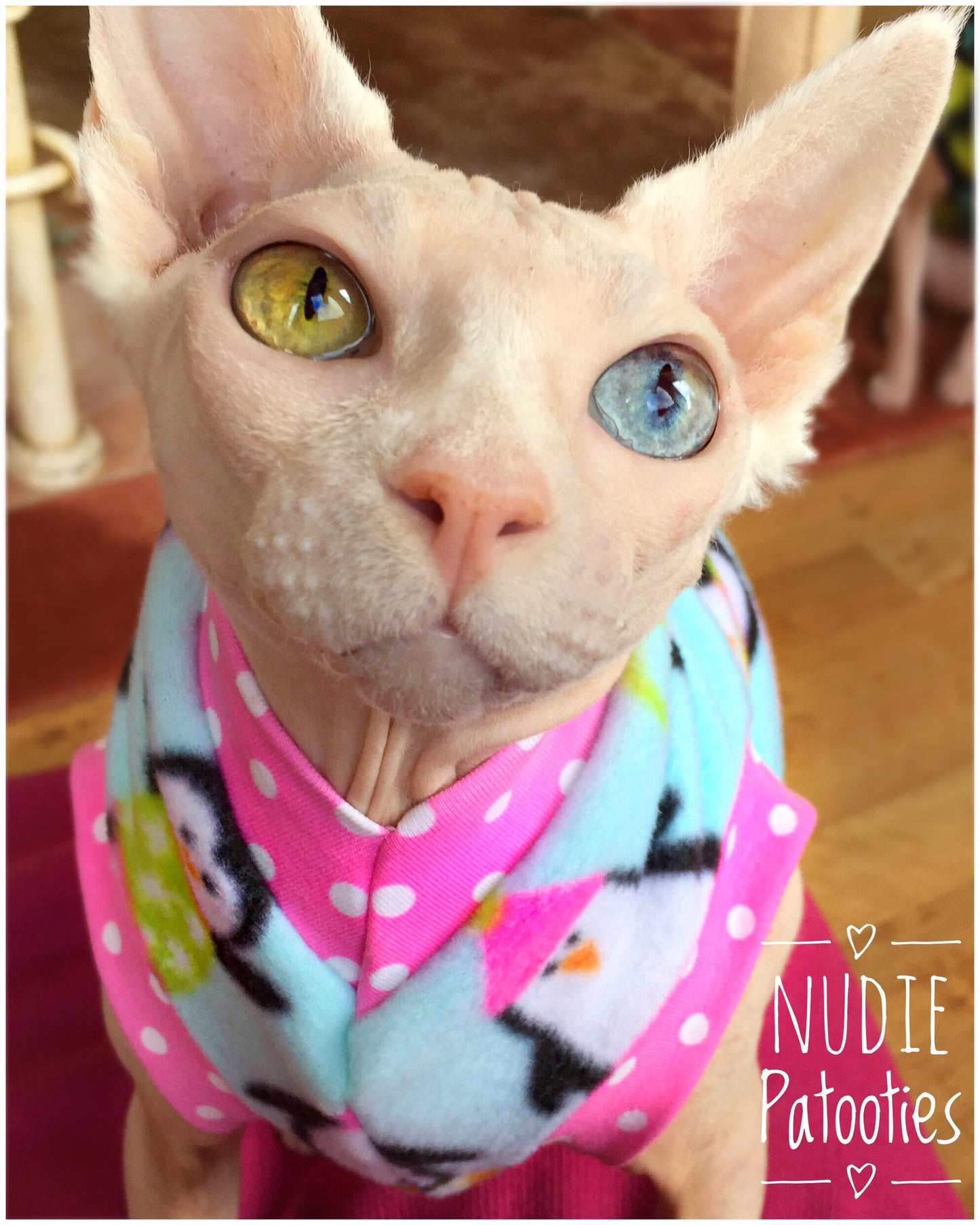 Christmas Pink Penguin Fleece "On Santa's Cute List" - Nudie Patooties  Sphynx cat clothes for your sphynx cat, sphynx kitten, Donskoy, Bambino Cat, cornish rex, peterbald and devon rex cat. 