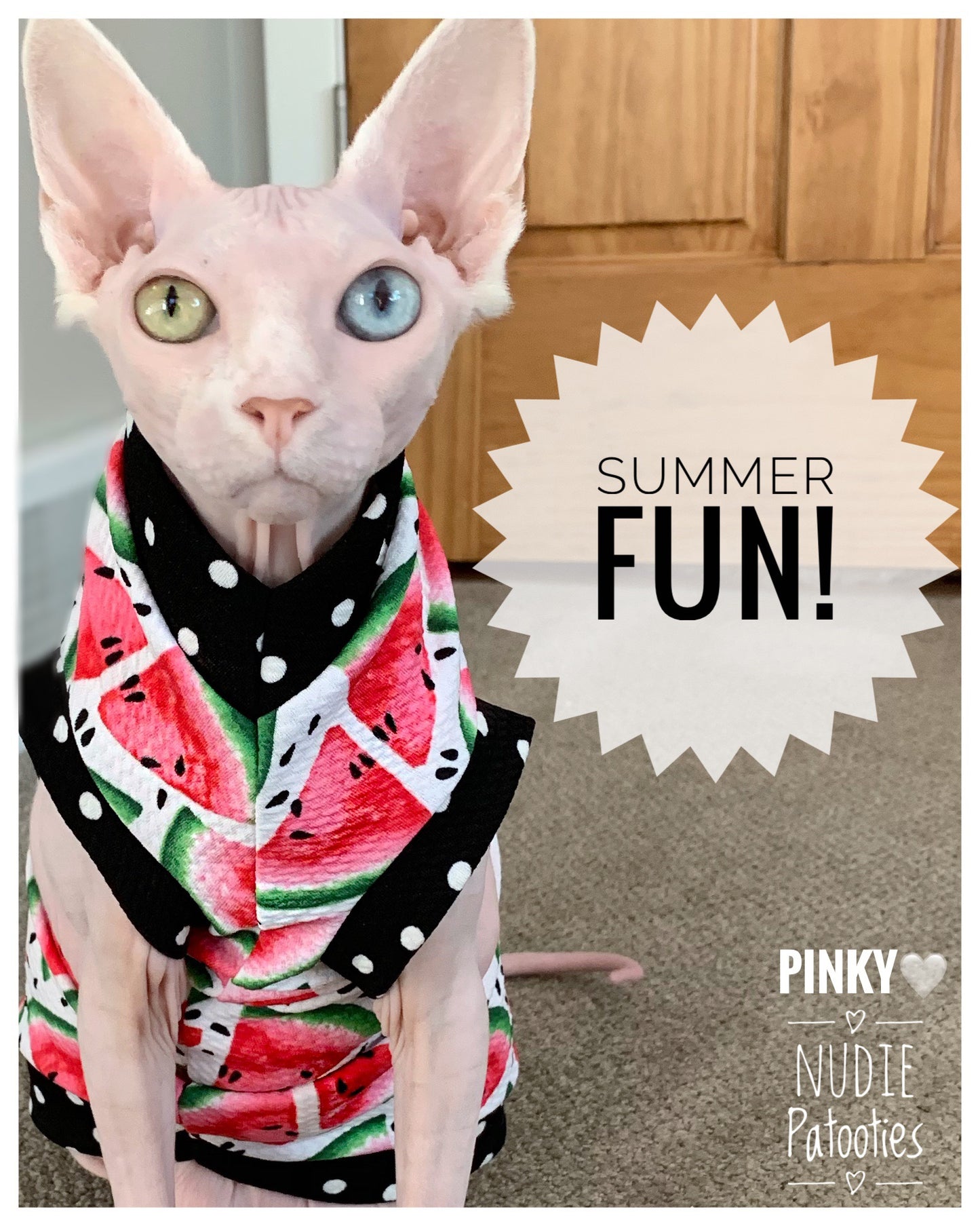 Sphynx cat and kitten watermelon shirt. Sphynx cat clothes.