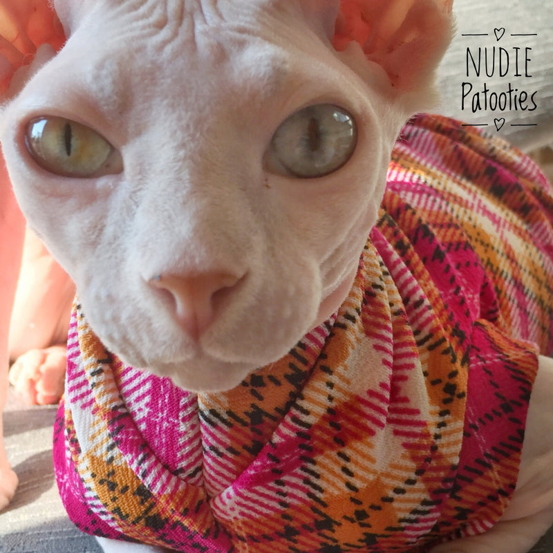 Argyle Plaid - Fuchsia and Mustard - Nudie Patooties Sphynx cat clothes for your sphynx cat, sphynx kitten, Donskoy, Bambino Cat, cornish rex, peterbald and devon rex cat.