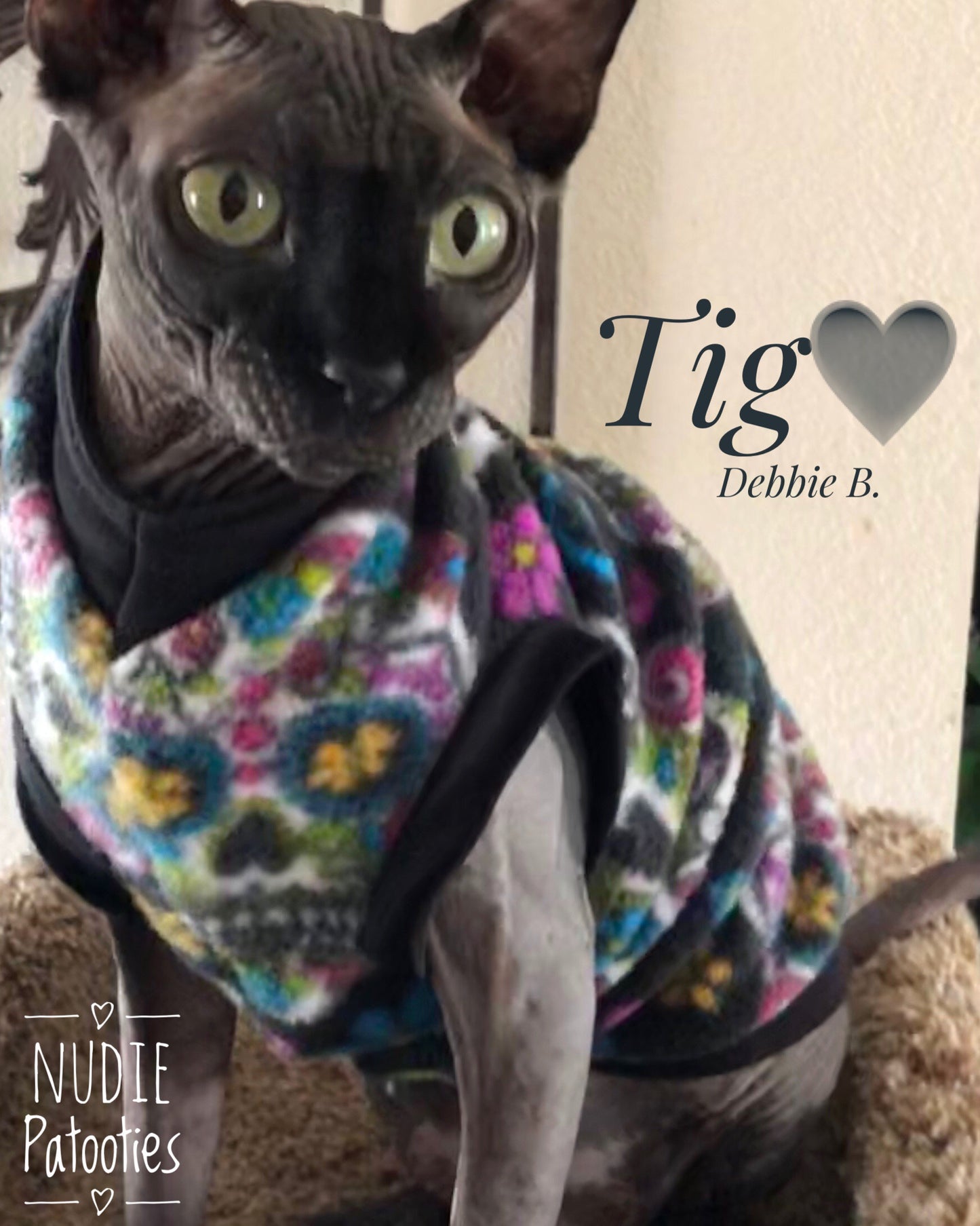 Black Sugar Skull Fleece for sphynx cat and sphynx kitten. Sphynx cat and kitten clothes.