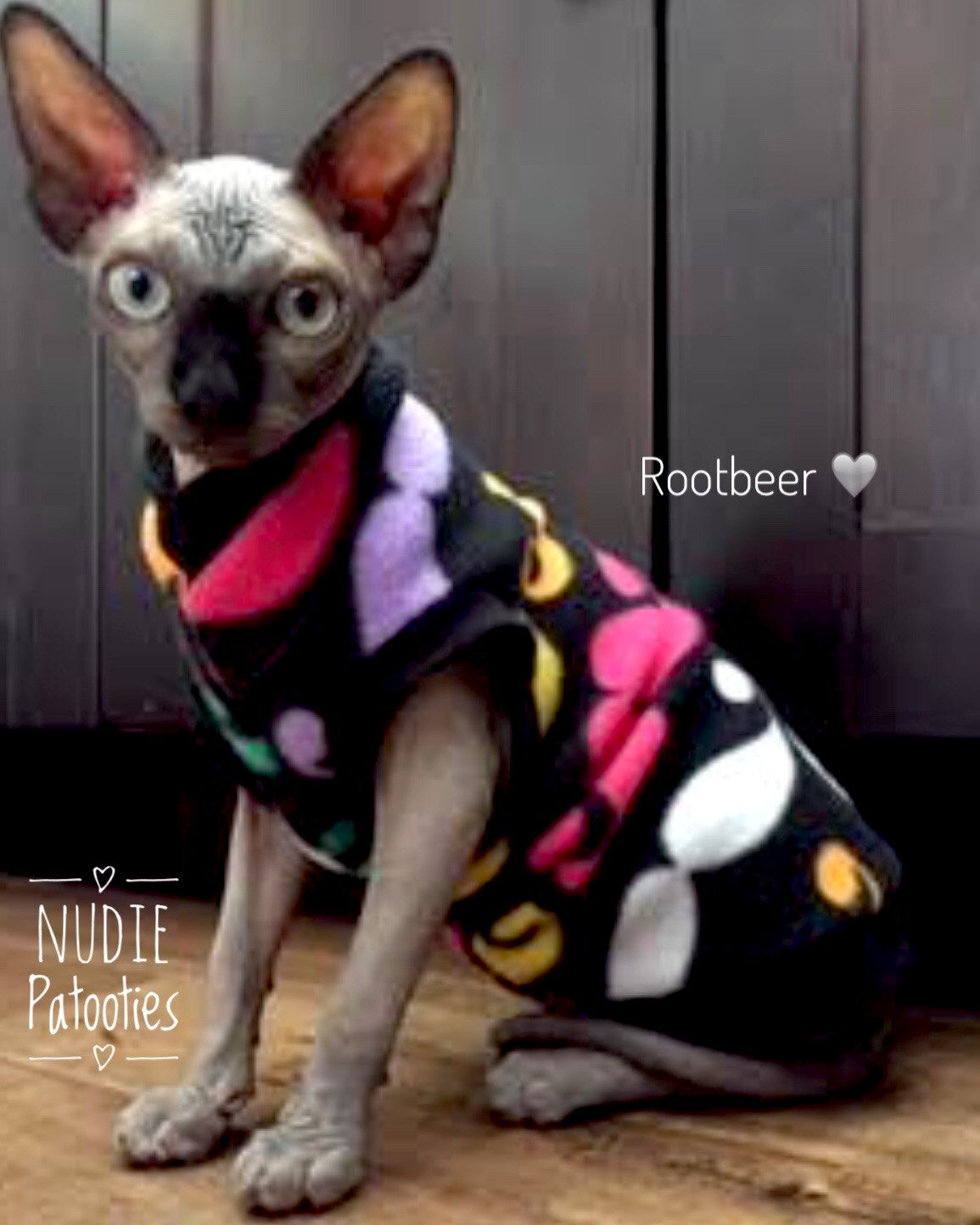 Sphynx cat and kitten warm and soft fleece shirt. Sphynx cat clothes.