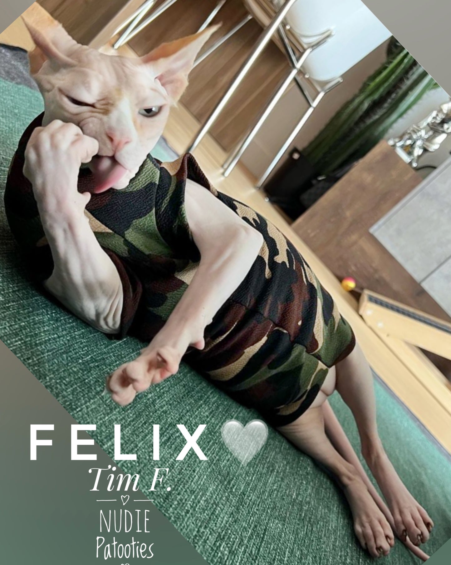 Olive, Tan, Black & Brown Camouflage