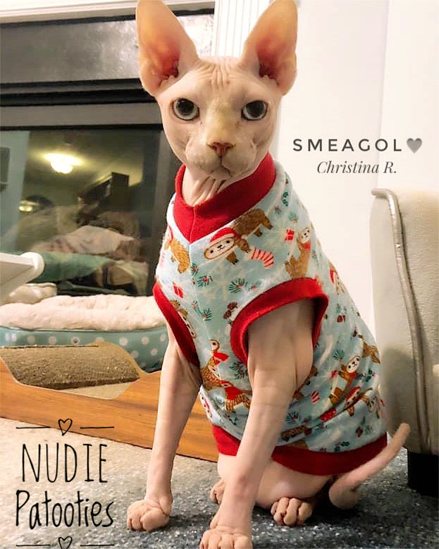 Holiday Sloth Shirt "I'm All Love"