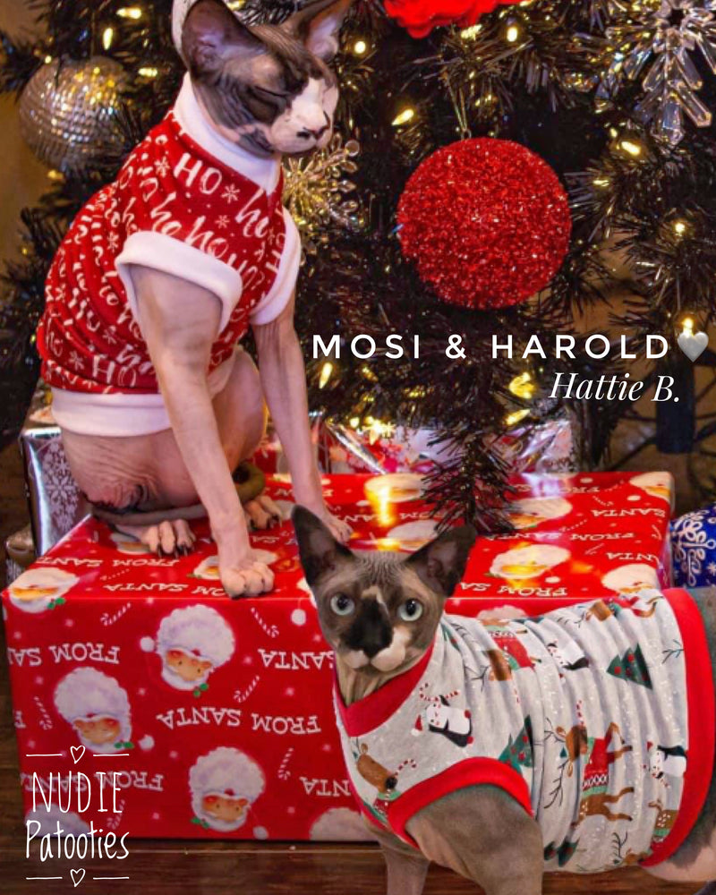 Christmas shirt for sphynx cat and kitten. Sphynx cat clothes.