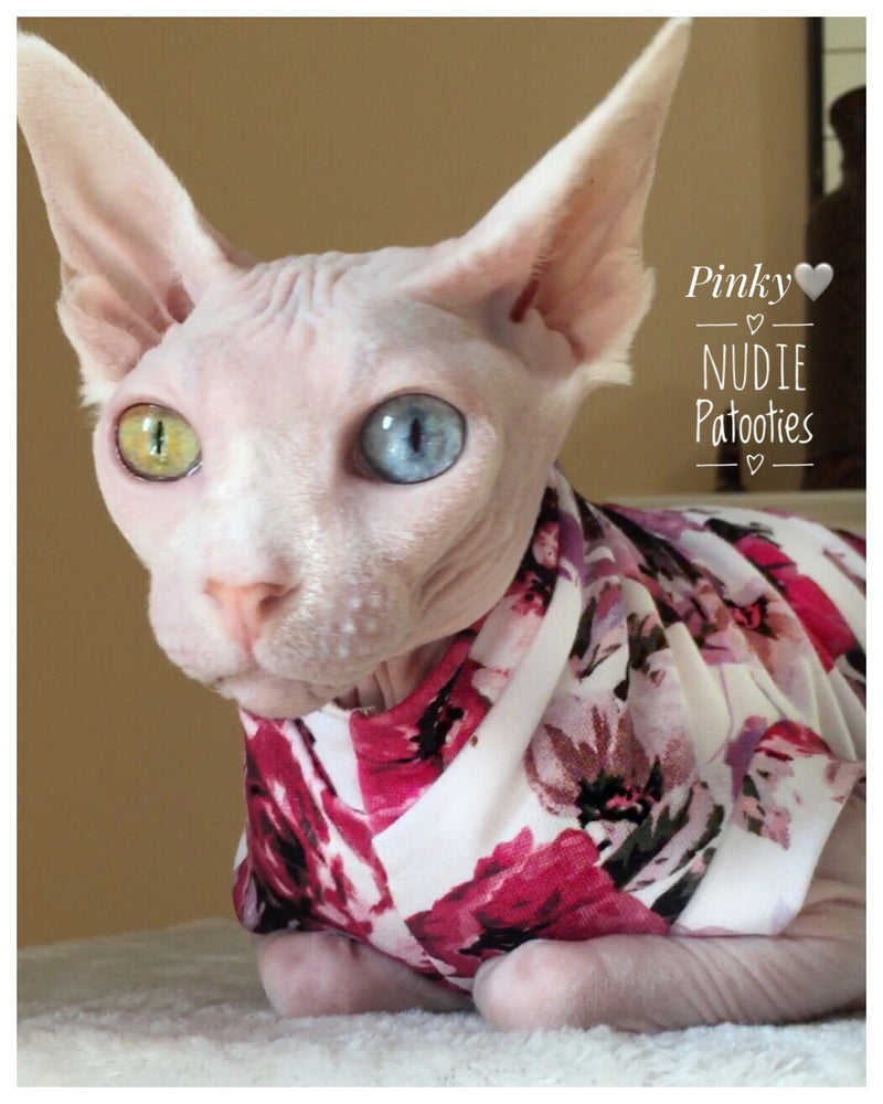 odd eye sphynx cat. Skull shirt/ Halloween/ Sphynx Cat Fleece Clothes / clothes for cats/ cat overalls /cat shirt/ cat sweater/ cat sweatshirt/ pet sweater/ Sphynx cat clothes/ Sphynx clothing / cats clothes/ shirt for cat/ cat clothes/ tattoo/ skull/ designer cat clothes/ cat pjs