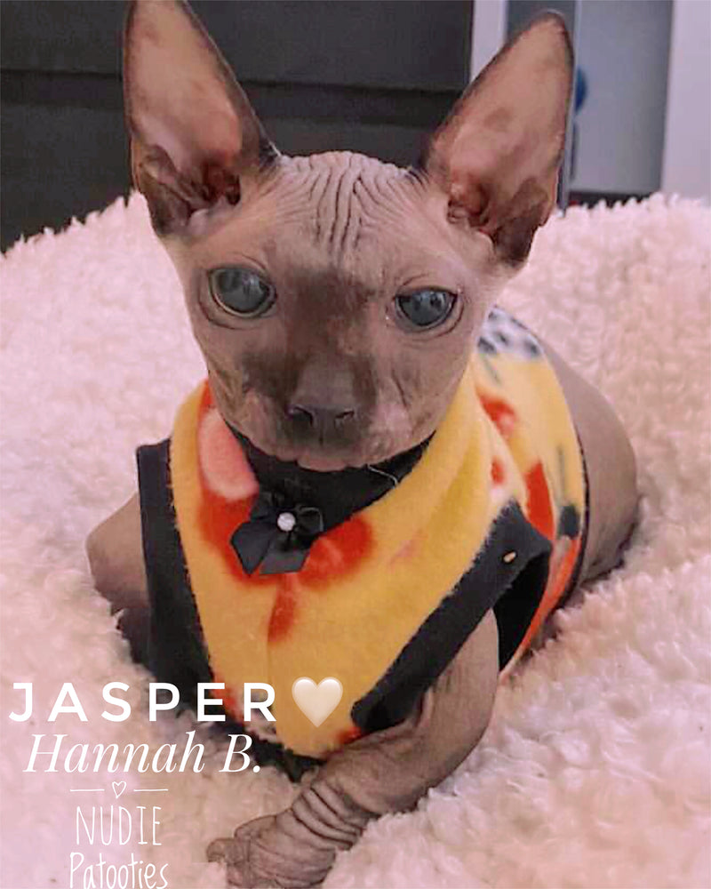 Warm ladybug sphynx cat and kitten fleece shirt. Sphynx cat clothes.