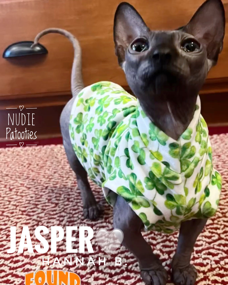 sphynx cat and kitten shirt. sphynx cat clothes