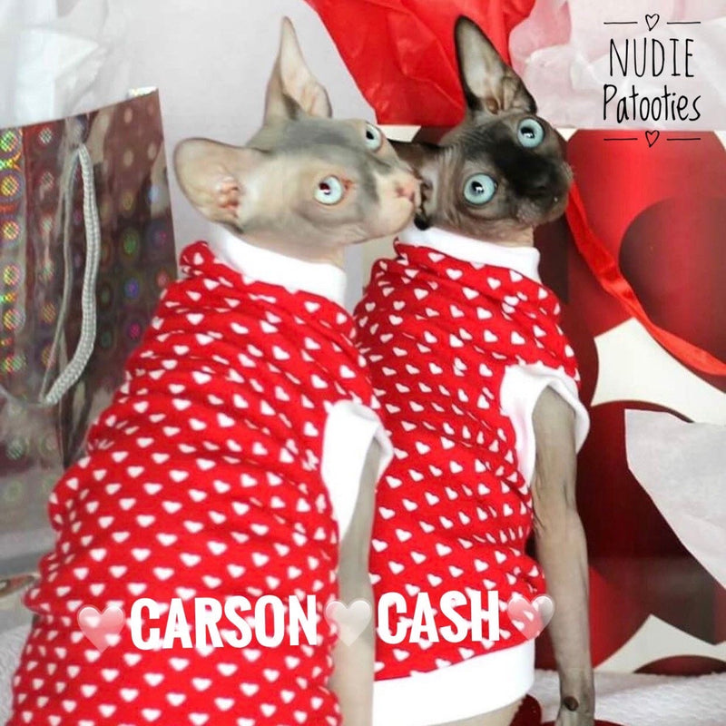 Red and white sphynx cat and kitten shirt. Sphynx cat clothes.