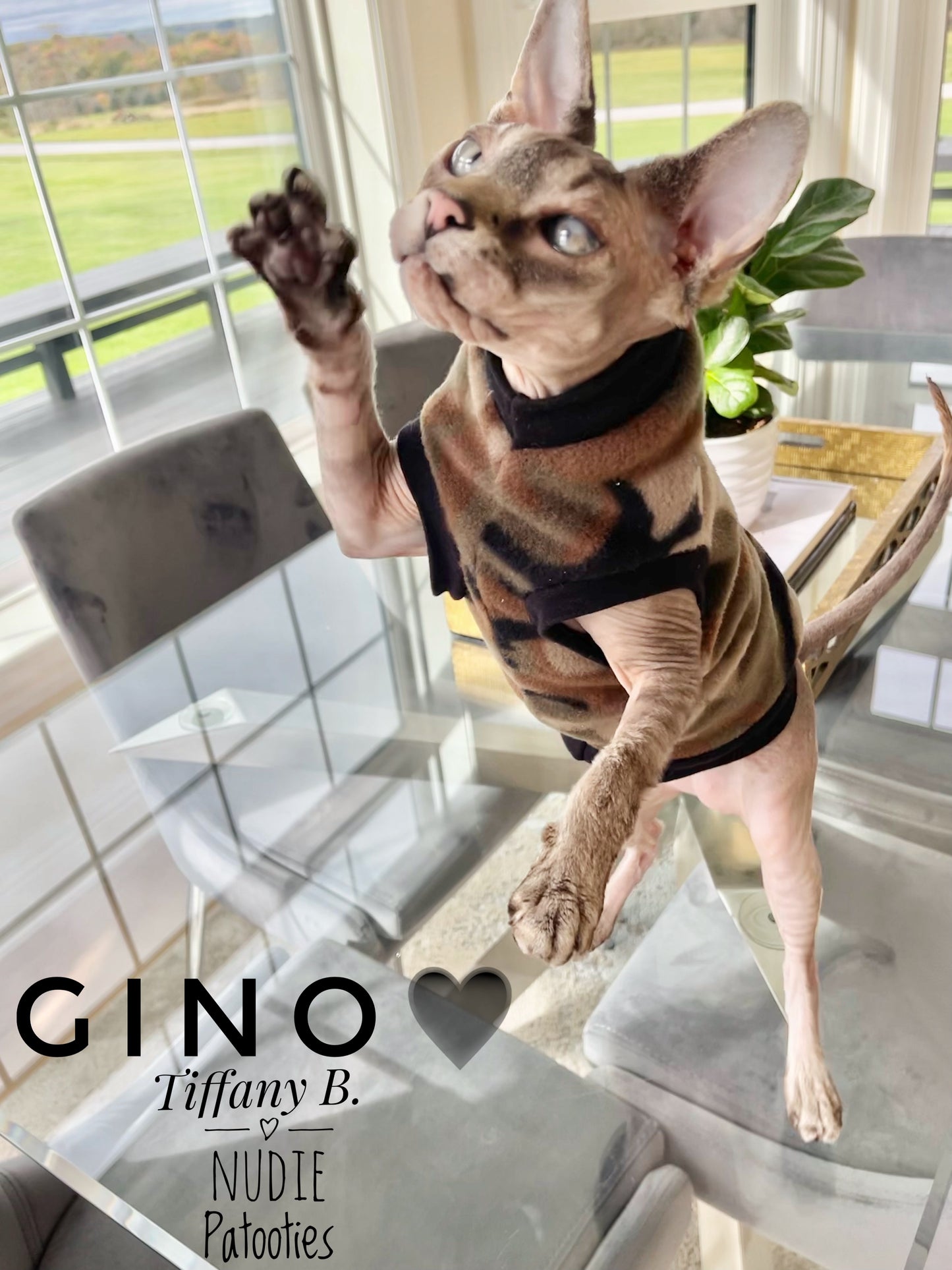 Green Camo Fleece "Camo Cat"