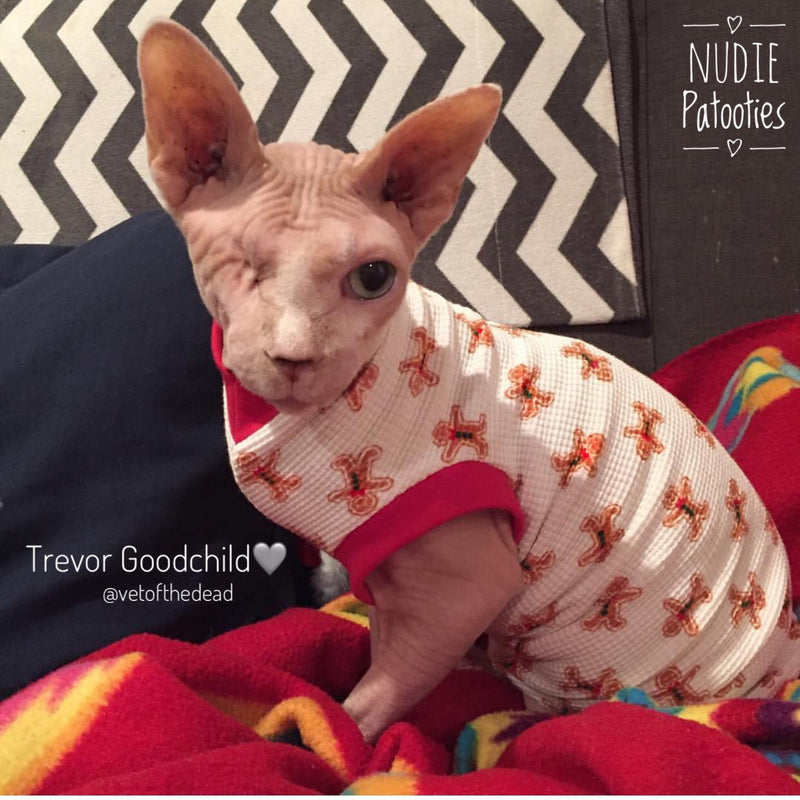 Gingerbread waffle sphynx cat and kitten shirt. Sphynx cat clothes for Christmas