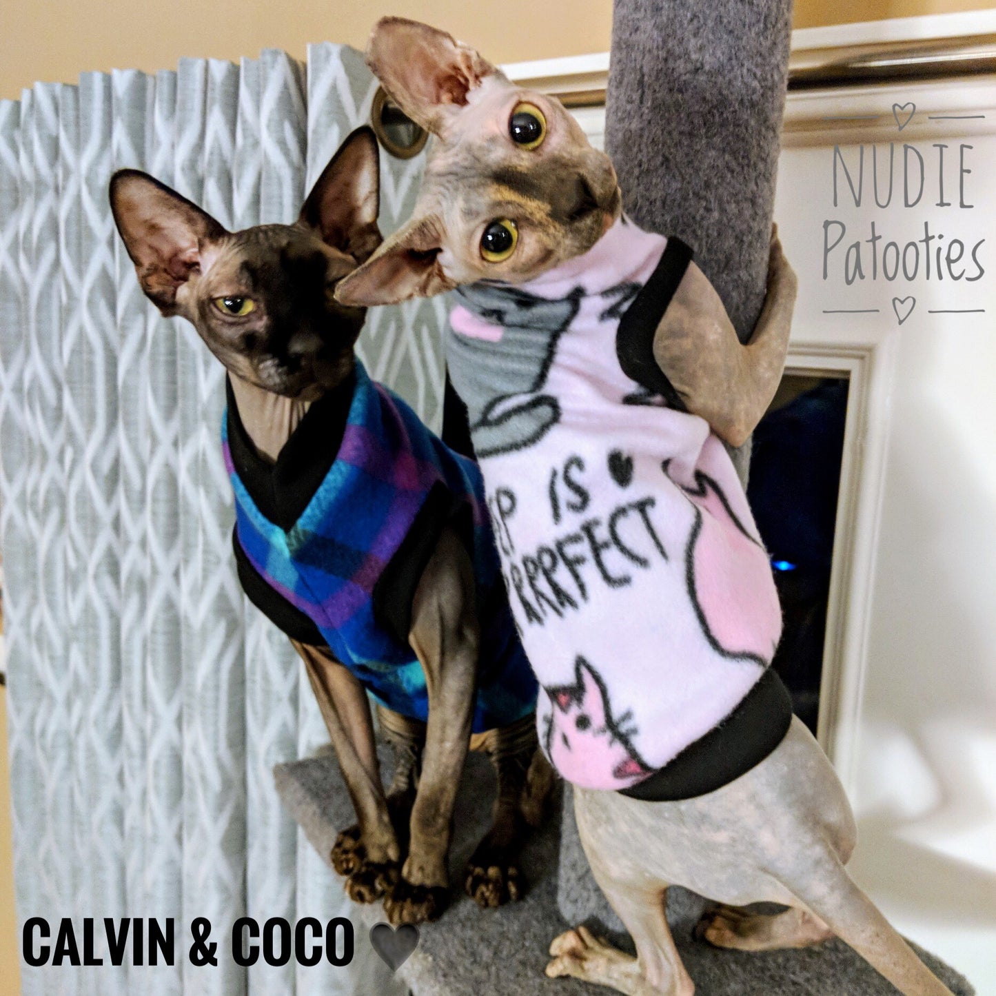 Pink Cat Fleece "Sleepy Kitty" - Nudie Patooties