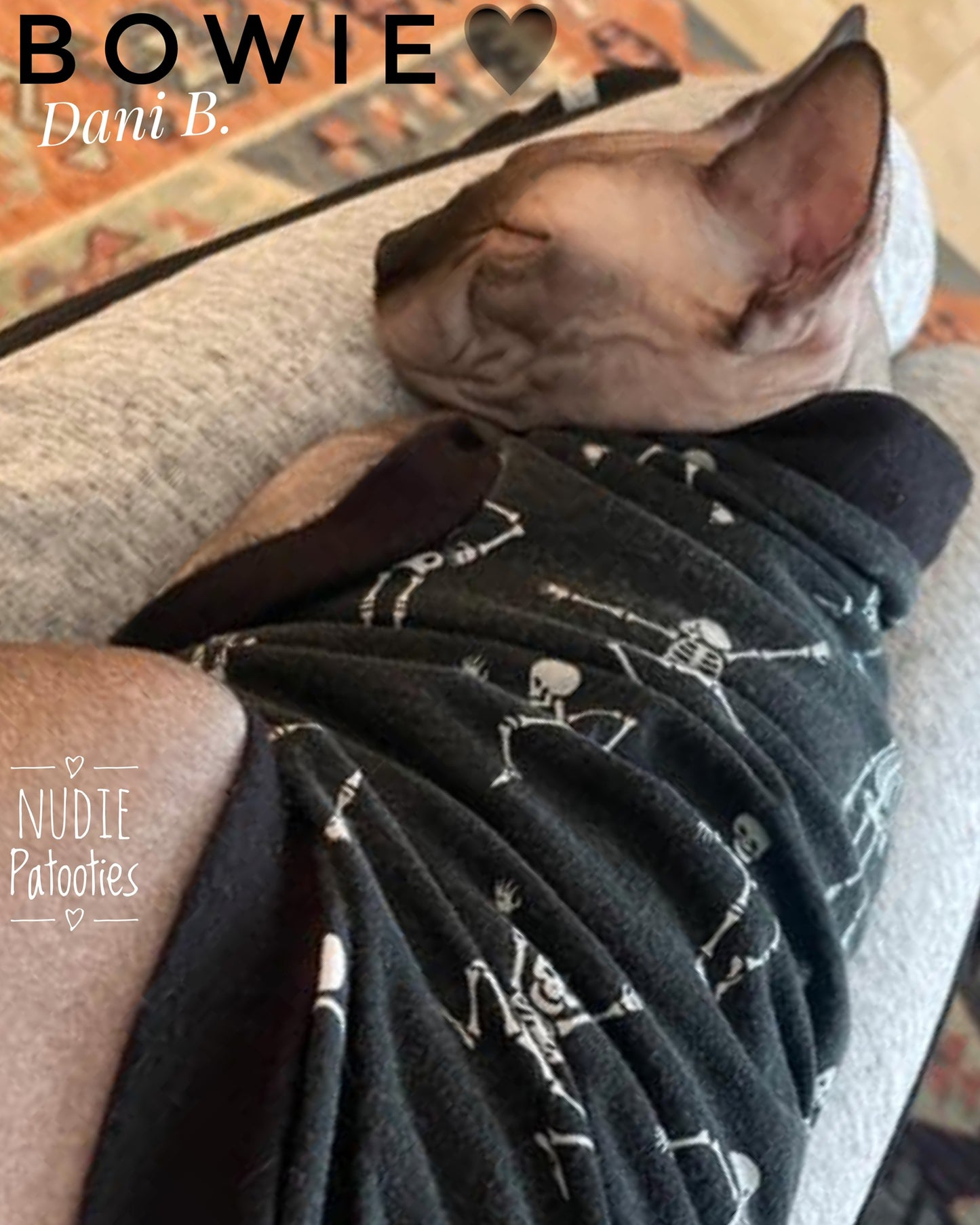 Sphynx cat and kitten skeleton shirt. Sphynx cat clothes.