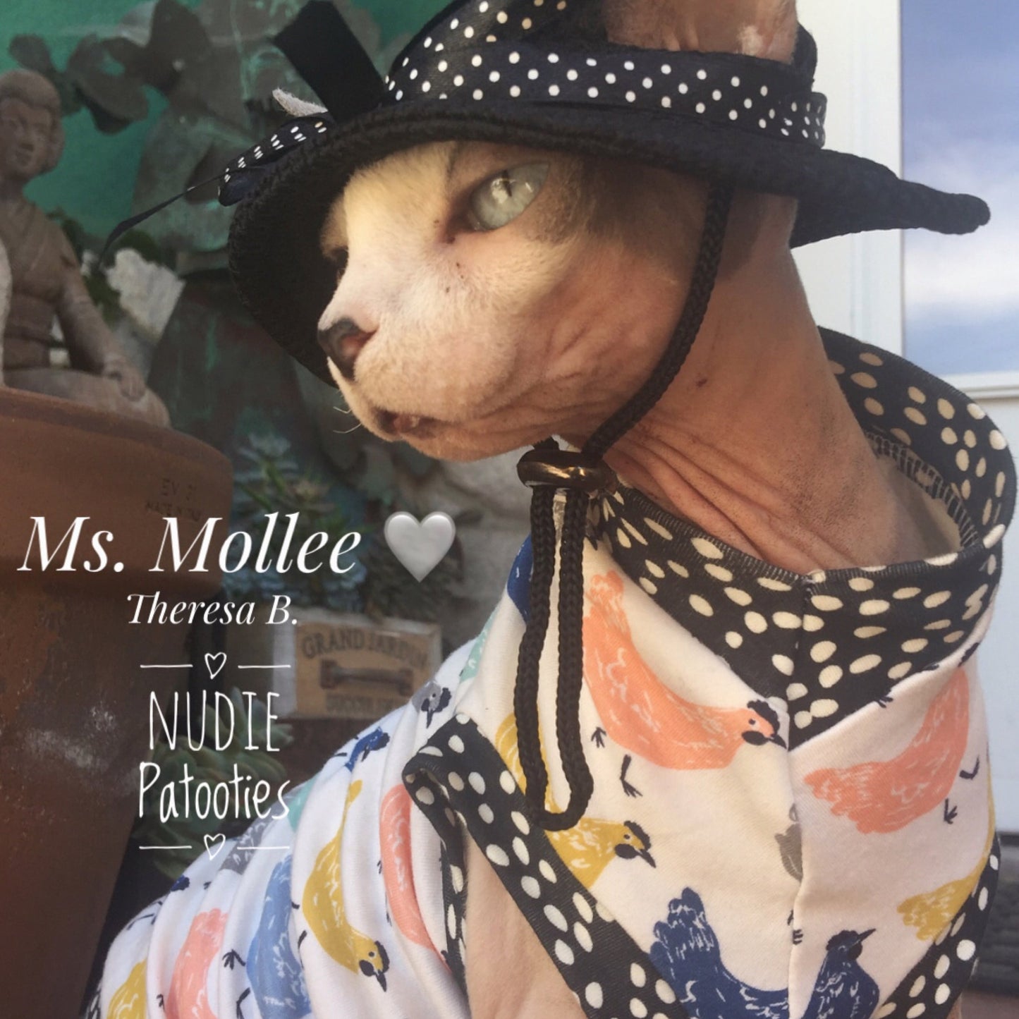 Hat for Cats