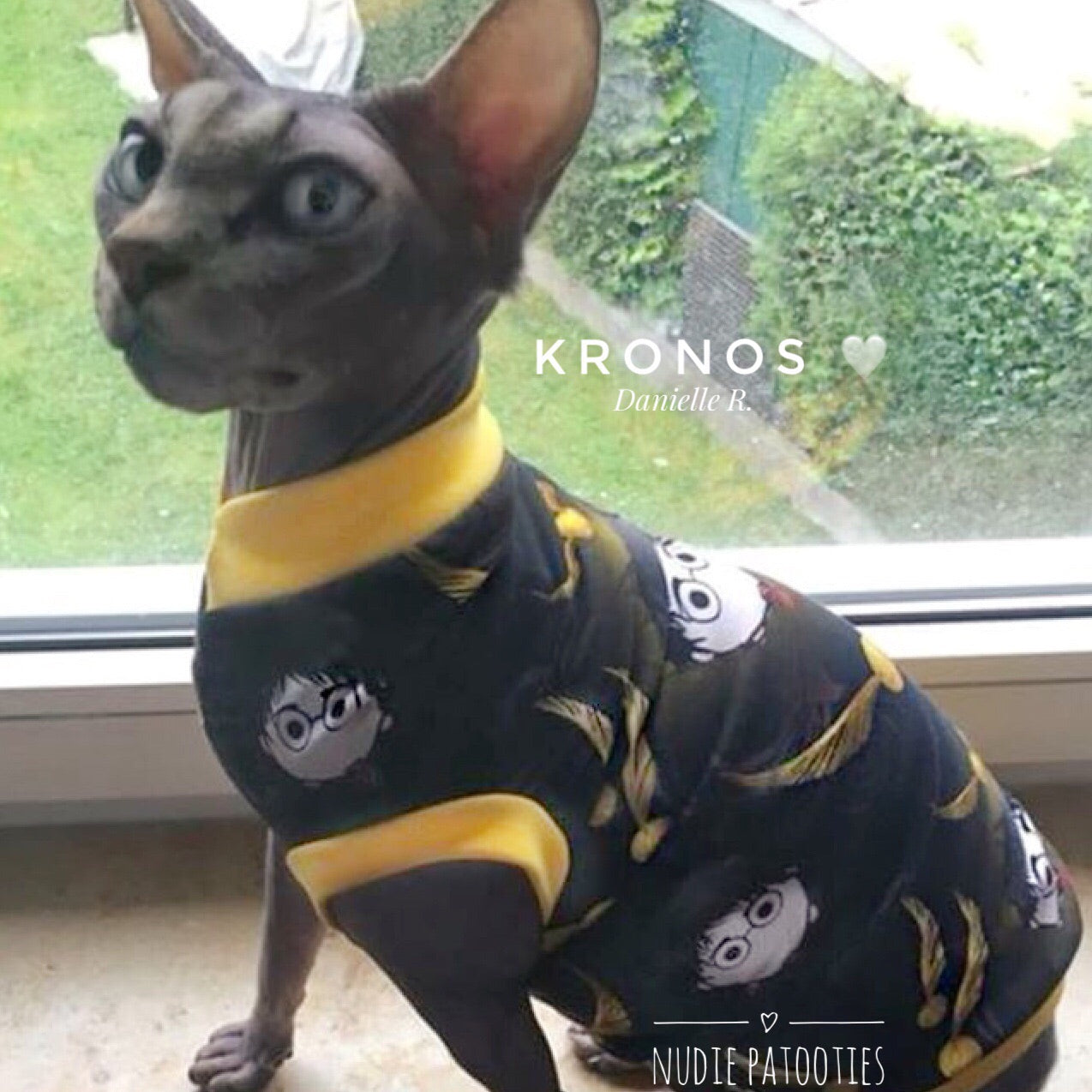 Harry Potter Wizard Cat Shirt/ Sphynx Cat Fleece Clothes / clothes for cats/ cat overalls /cat shirt/ cat sweater/ cat sweatshirt/ pet sweater/ Sphynx cat clothes/ Sphynx clothing / cats clothes/ shirt for cat/ cat clothes/ tattoo/ skull/ designer cat clothes/ cat pjs