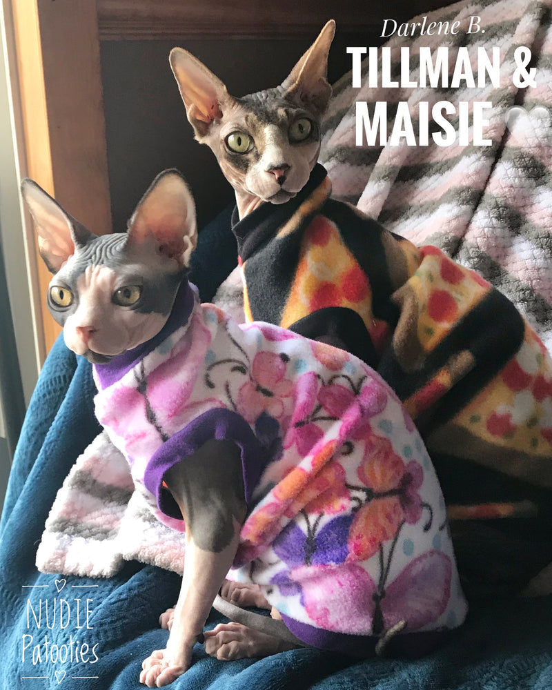 Sphynx cat clothes, shirts and sweaters.