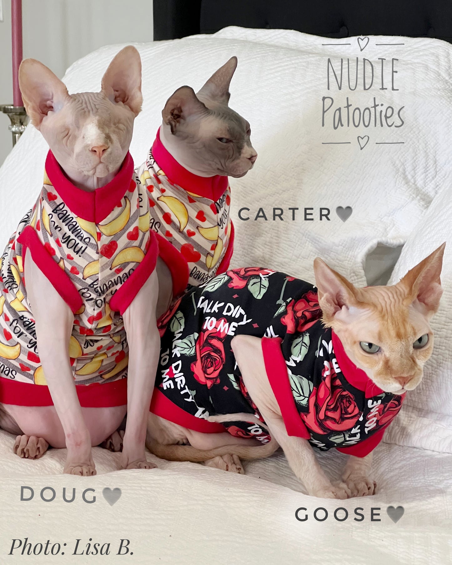 Sphynx cat and kitten shirt. Sphynx cat clothes.