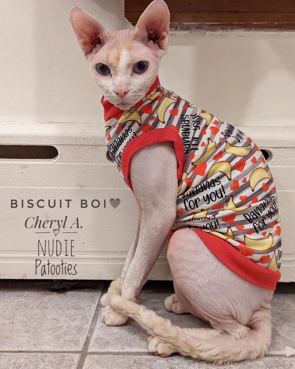 Sphynx cat and kitten shirt. Sphynx cat clothes.