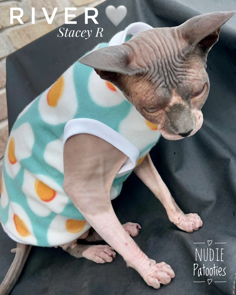 Sphynx cat and kitten fleece shirt. Sphynx cat clothes.
