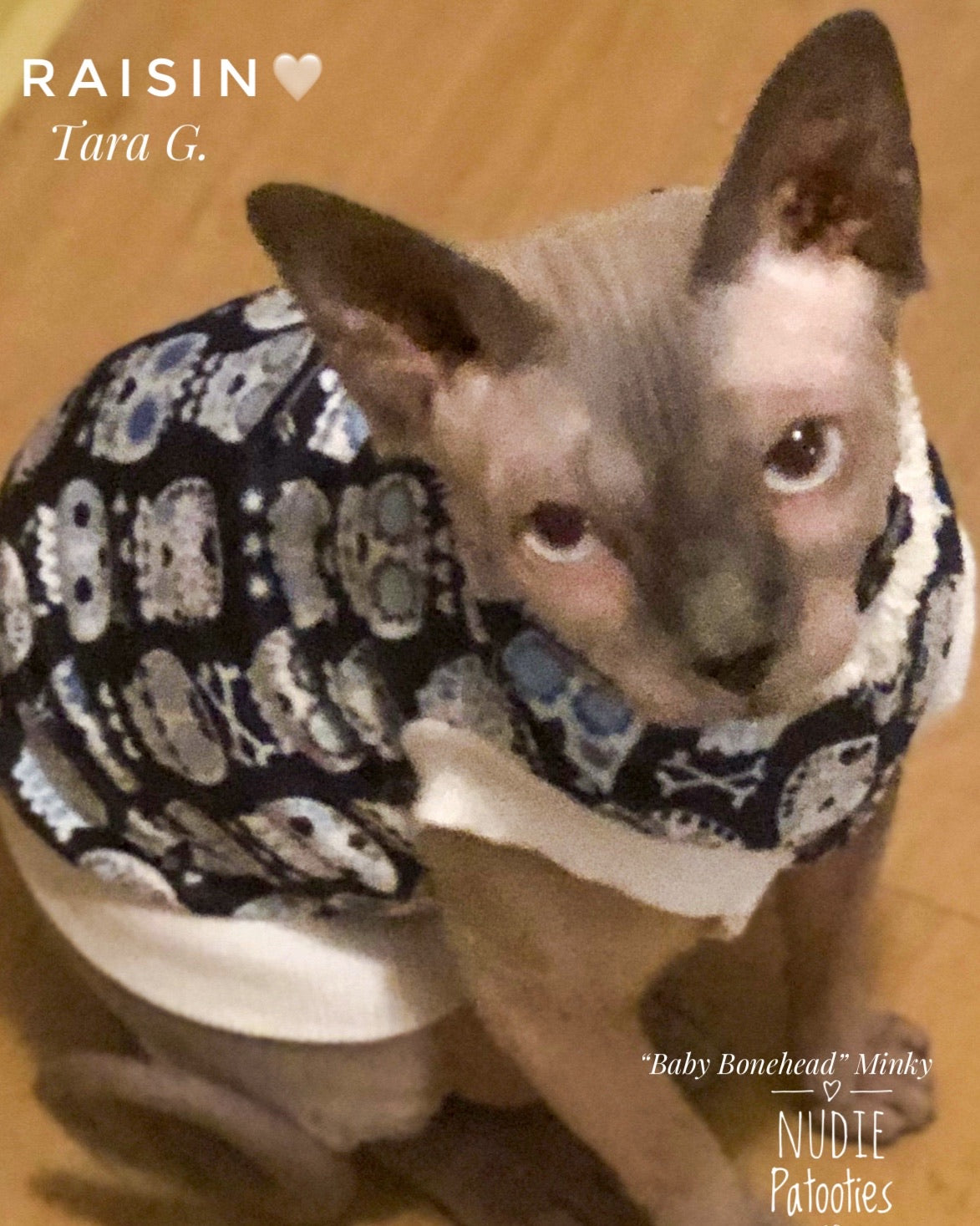 Navy "Baby Bonehead" Skull Minky with Faux Fur Collar