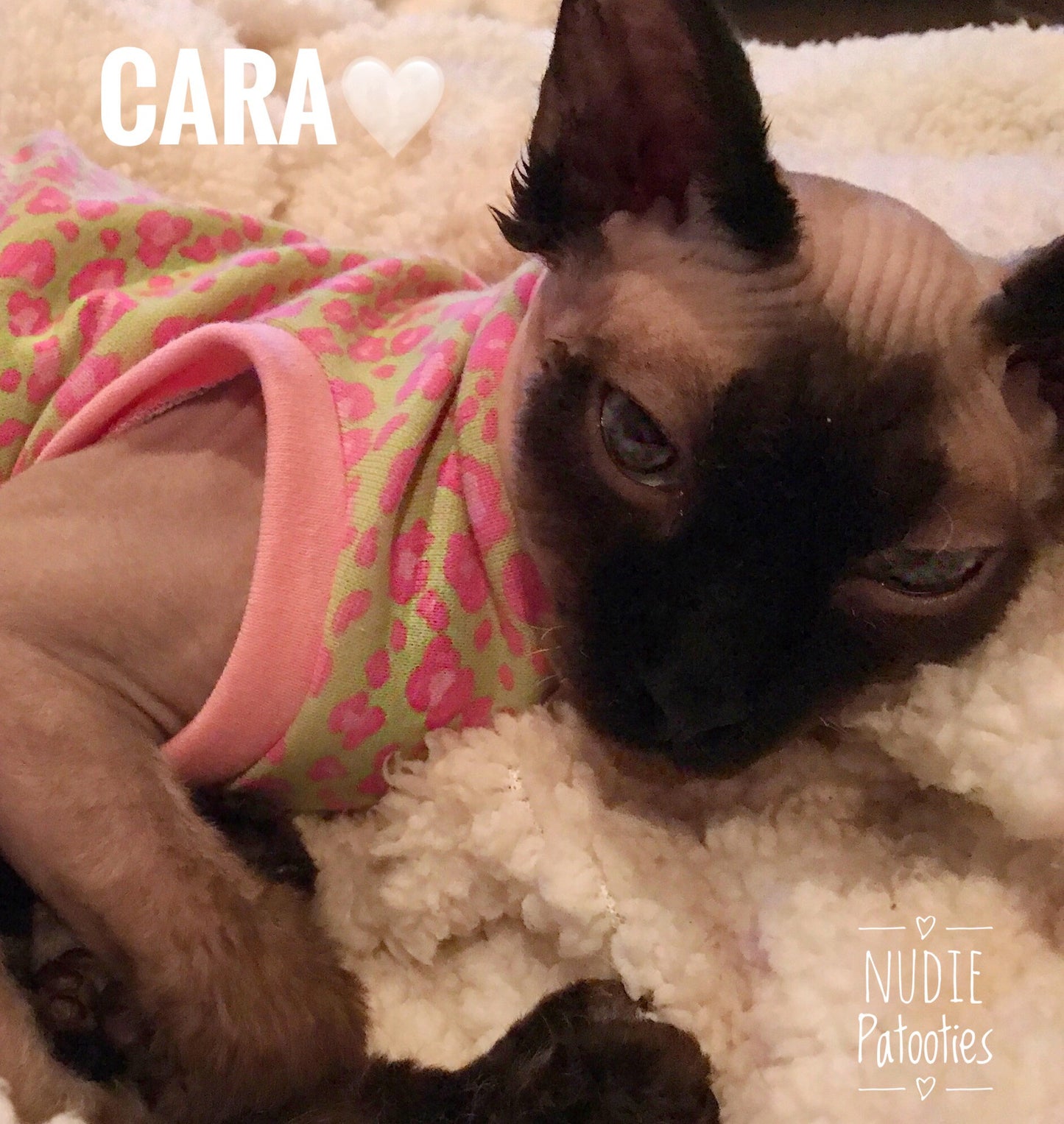 Pink and Lime Green Leopard - Nudie Patooties