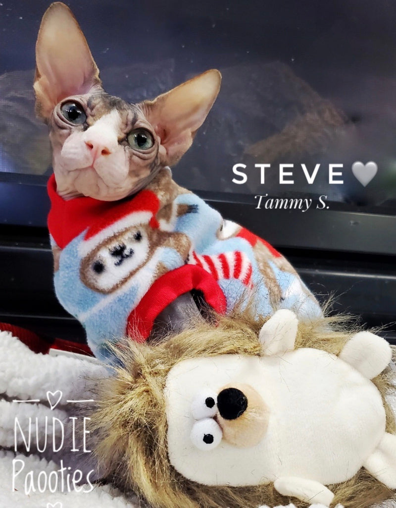 Holiday Sloth Fleece "I'm All Love"