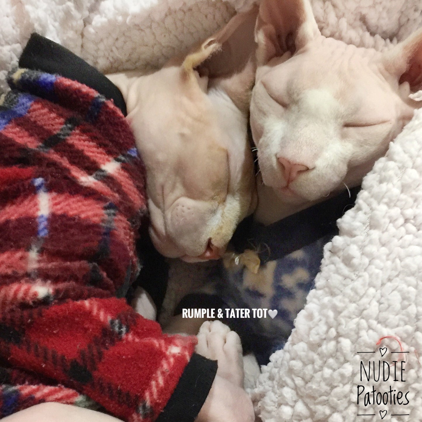 Sphynx Cat Fleece Clothes / clothes for cats/ cat overalls /cat shirt/ cat sweater/ cat sweatshirt/ pet sweater/ Sphynx cat clothes/ Sphynx clothing / cats clothes/ shirt for cat/ cat clothes/ tattoo/ skull/ designer cat clothes/ cat pjs