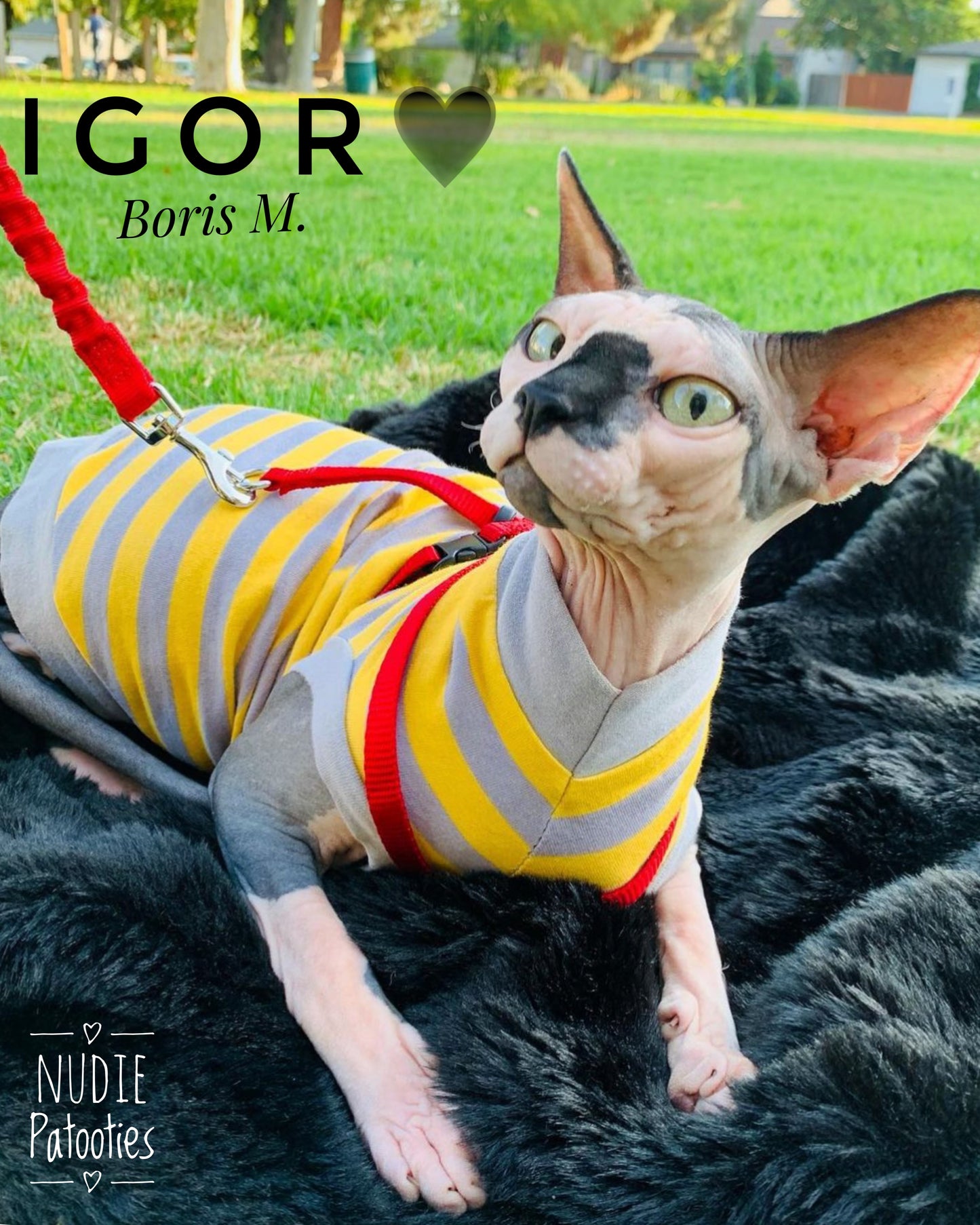 Grey and Yellow Stripe