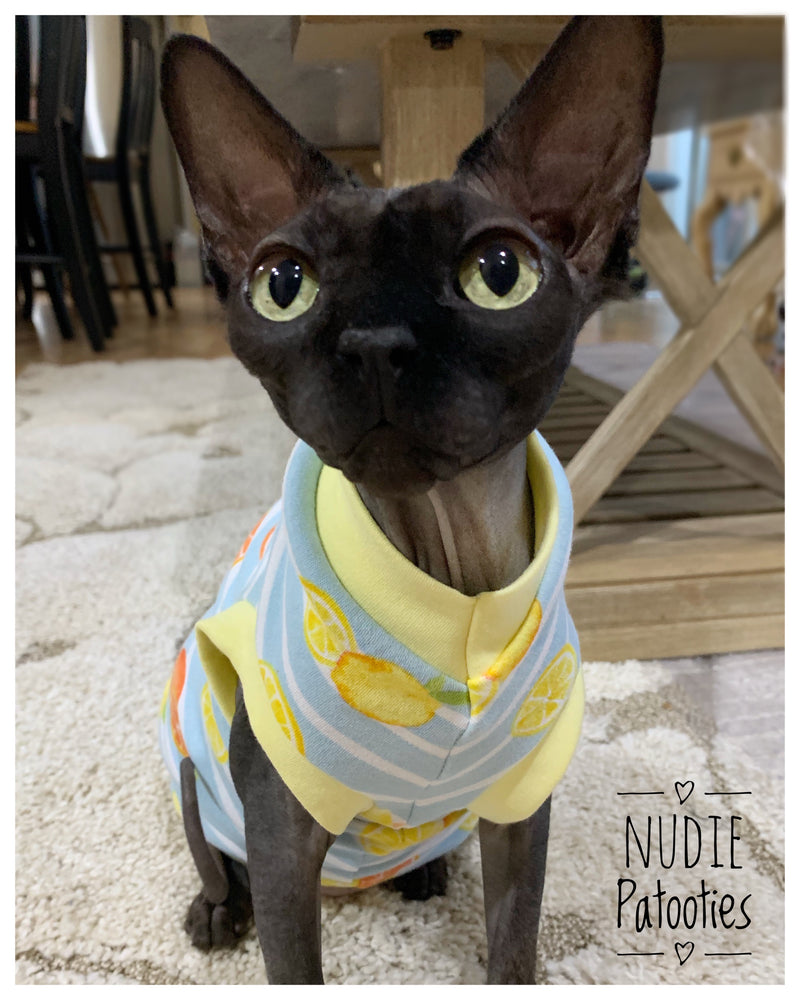Citrus on Mint Stripe "Pucker Up!" - Nudie Patooties  Sphynx cat clothes for your sphynx cat, sphynx kitten, Donskoy, Bambino Cat, cornish rex, peterbald and devon rex cat. 