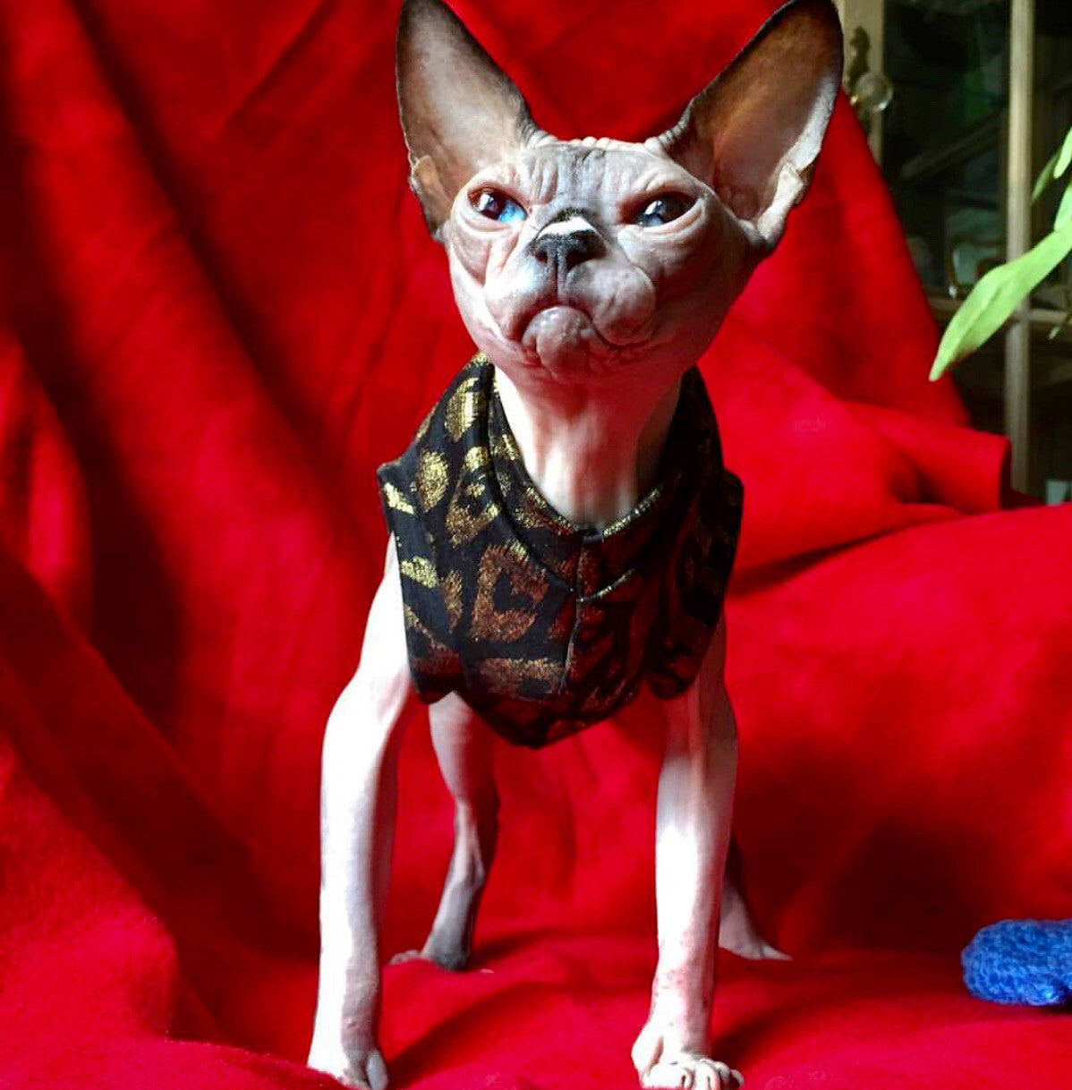 Good as Gold - Gold Metallic Leopard Print! - Nudie Patooties