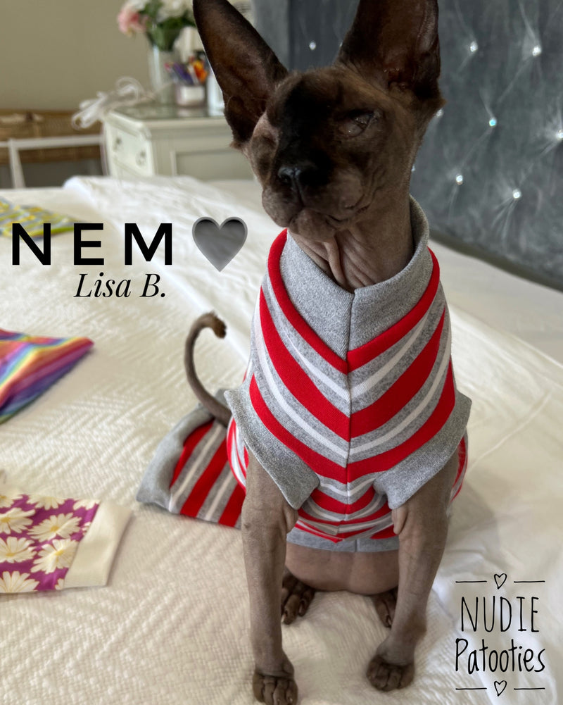 Sphynx cat and kitten shirt. Sphynx cat clothes.